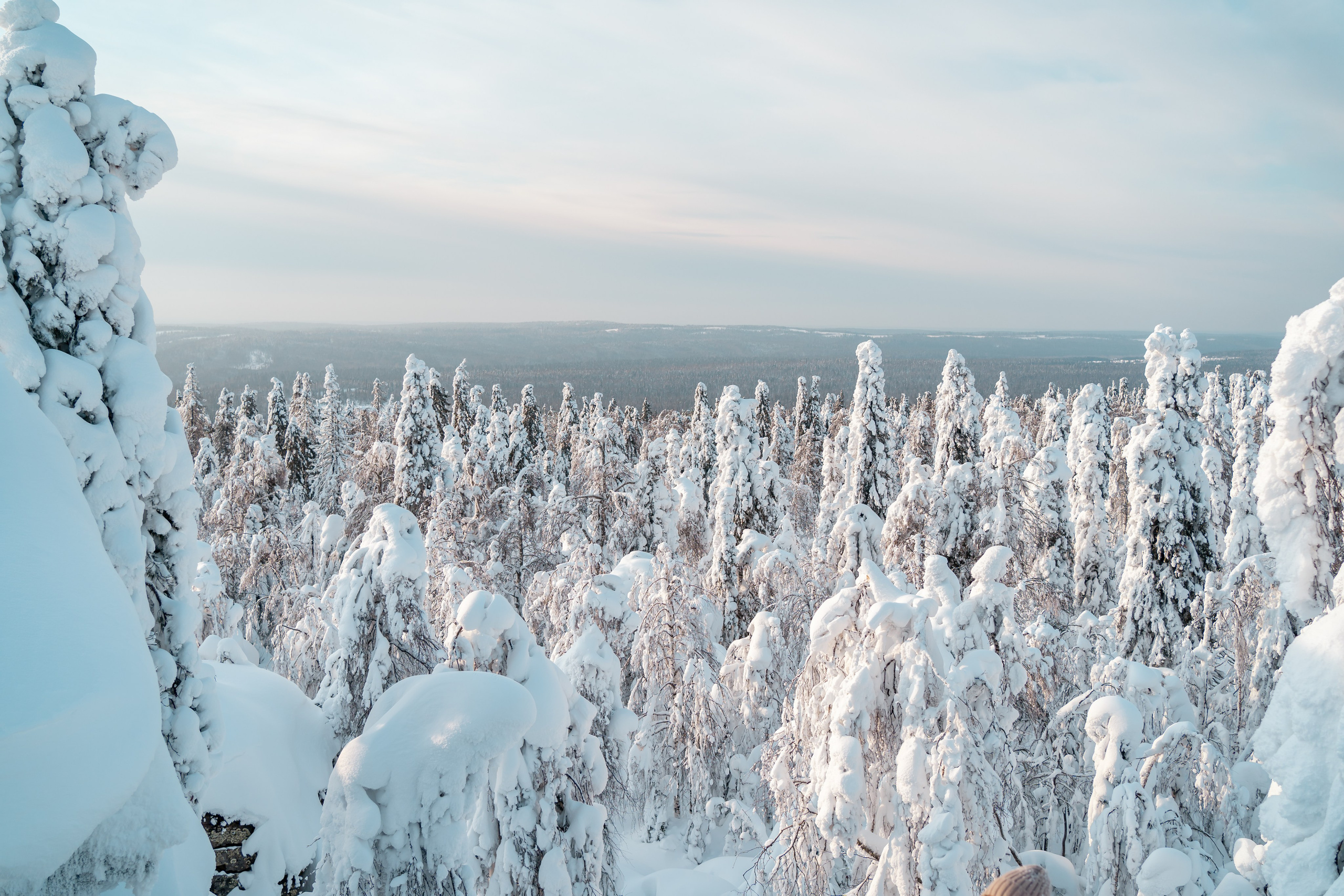 Пермский край. Семейный фотограф Варвара Сорока в городе Москве