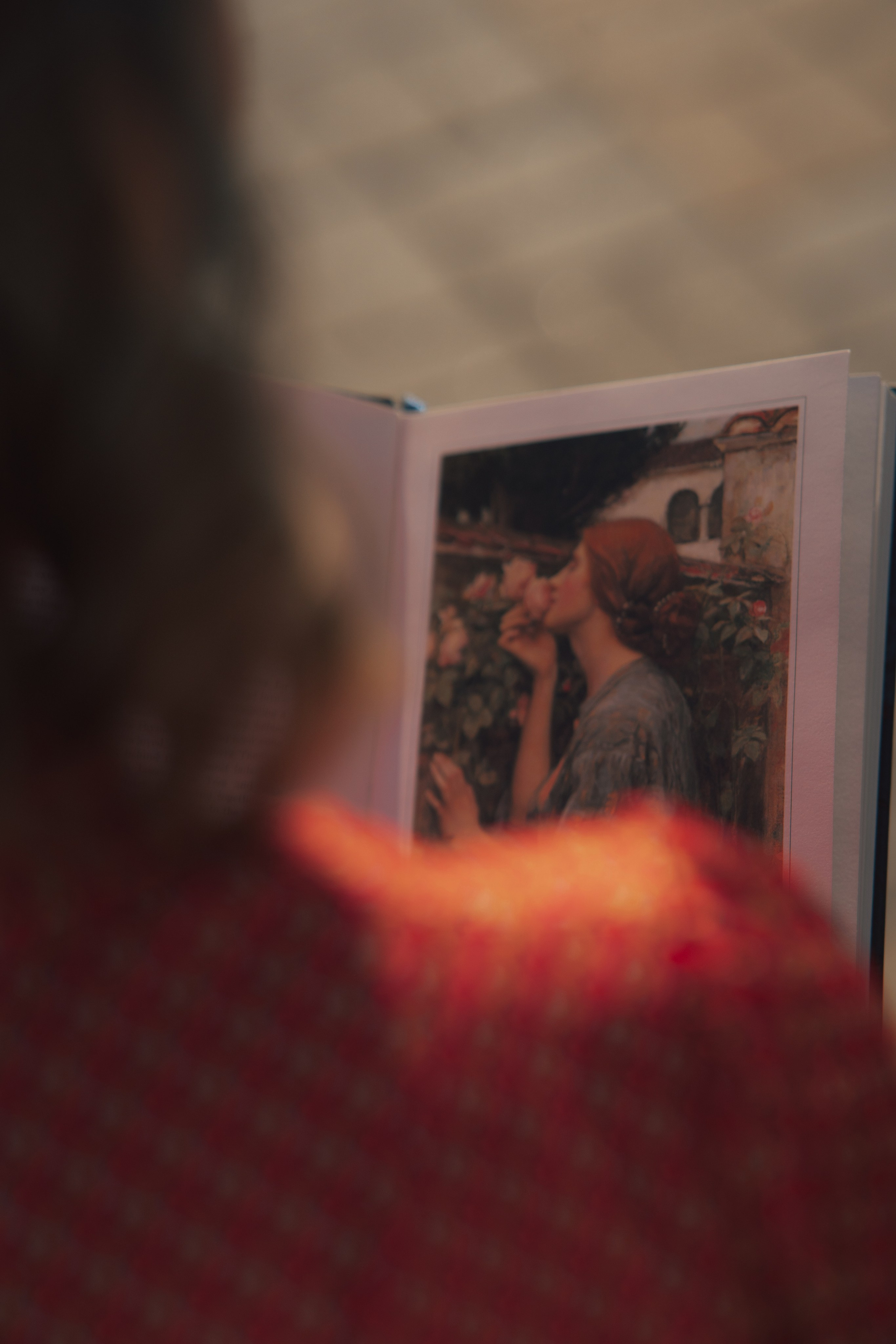 Розы. Фотограф Мария Зайчик