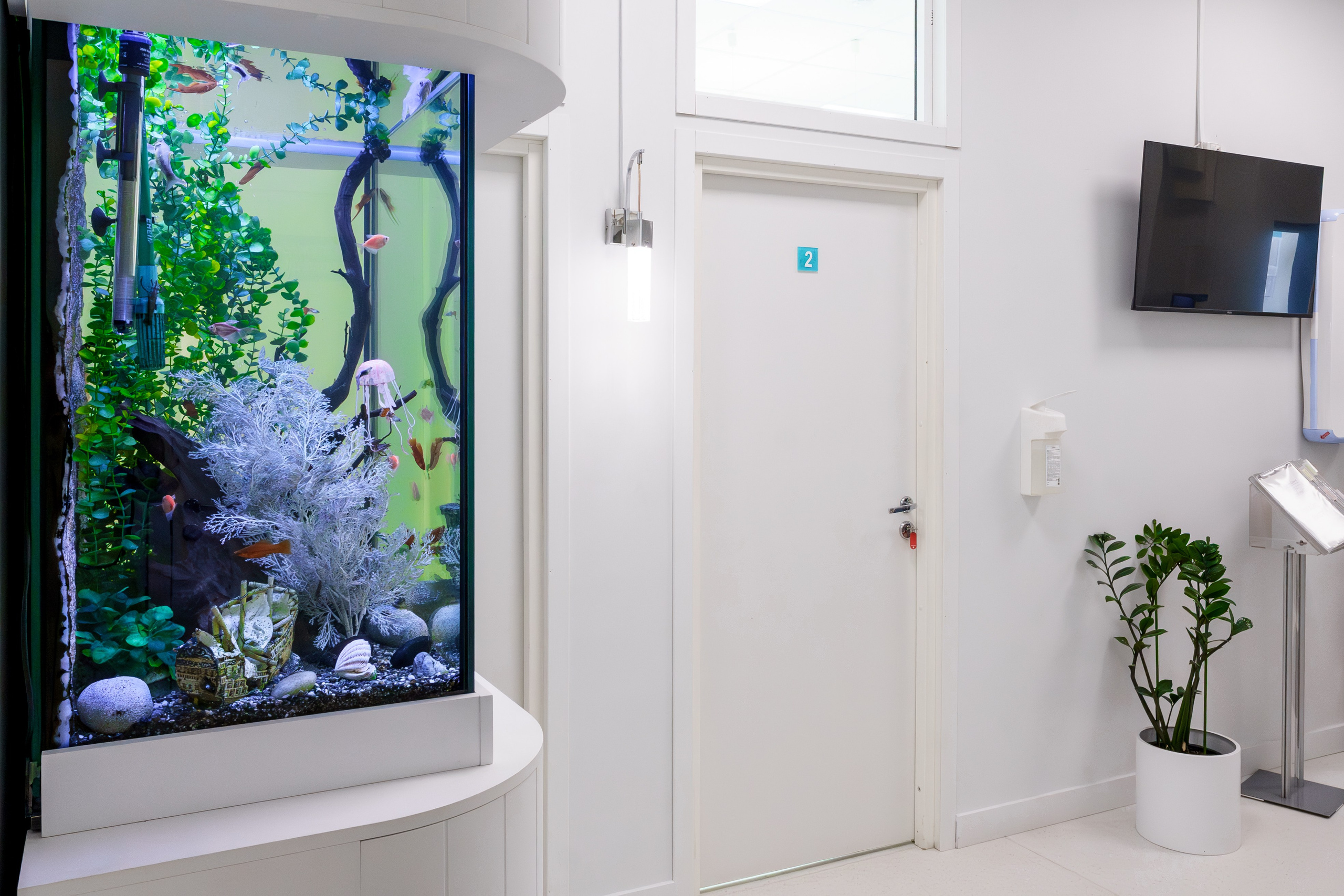 ВИТА-Дент. Профессиональный фотограф Ковалева Олеся