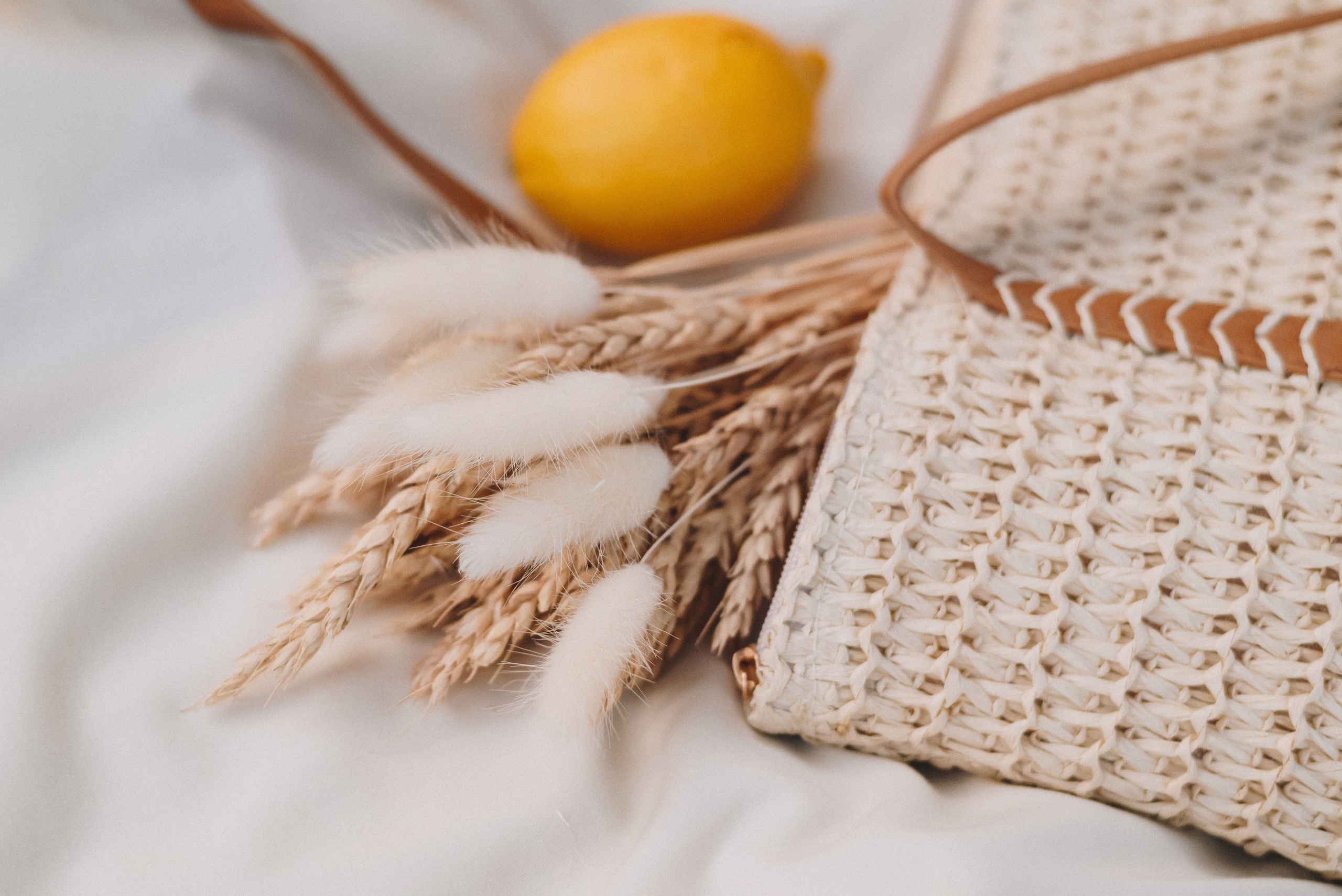 Margo Oleg & Vika. Natalia Finch Photography — Family, Kids & Pet Photographer in Chicago, IL