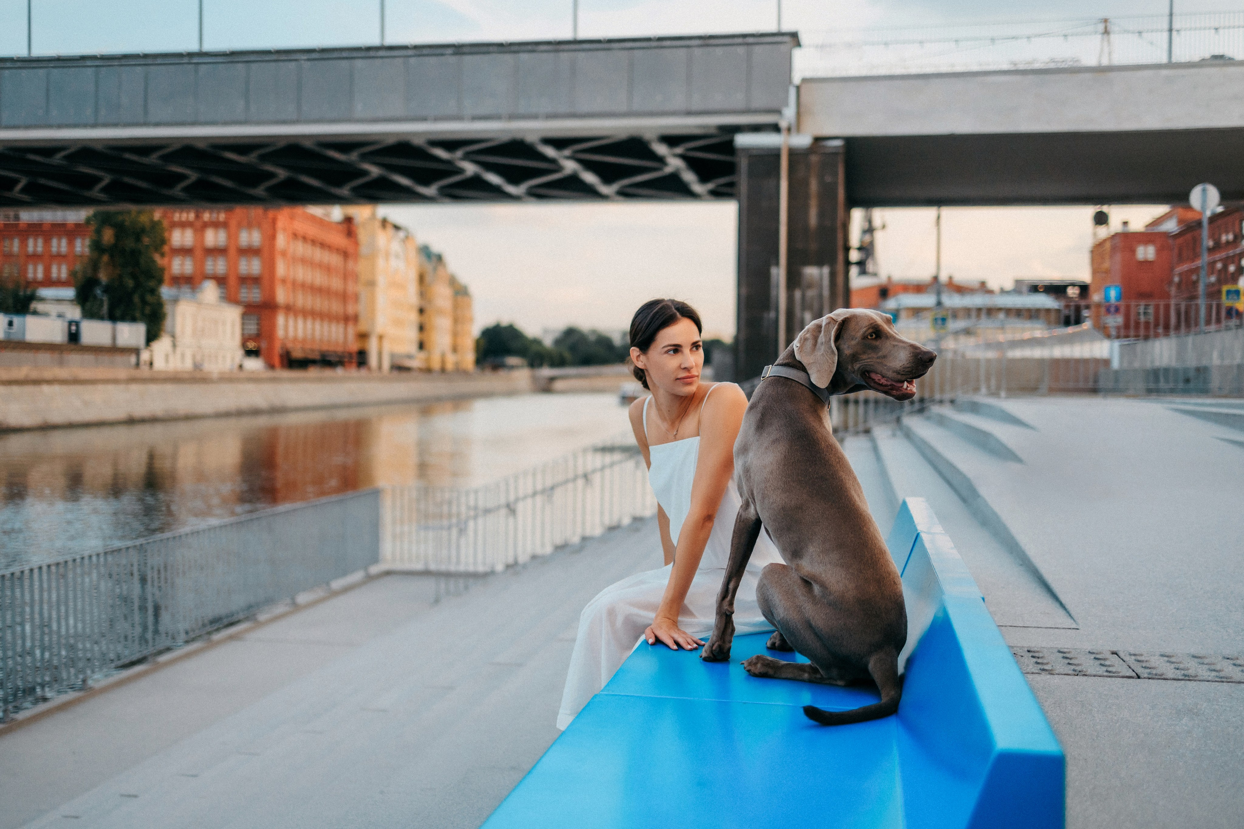 Соня и Майли. Фотограф-анималист Елена Радченко, Москва