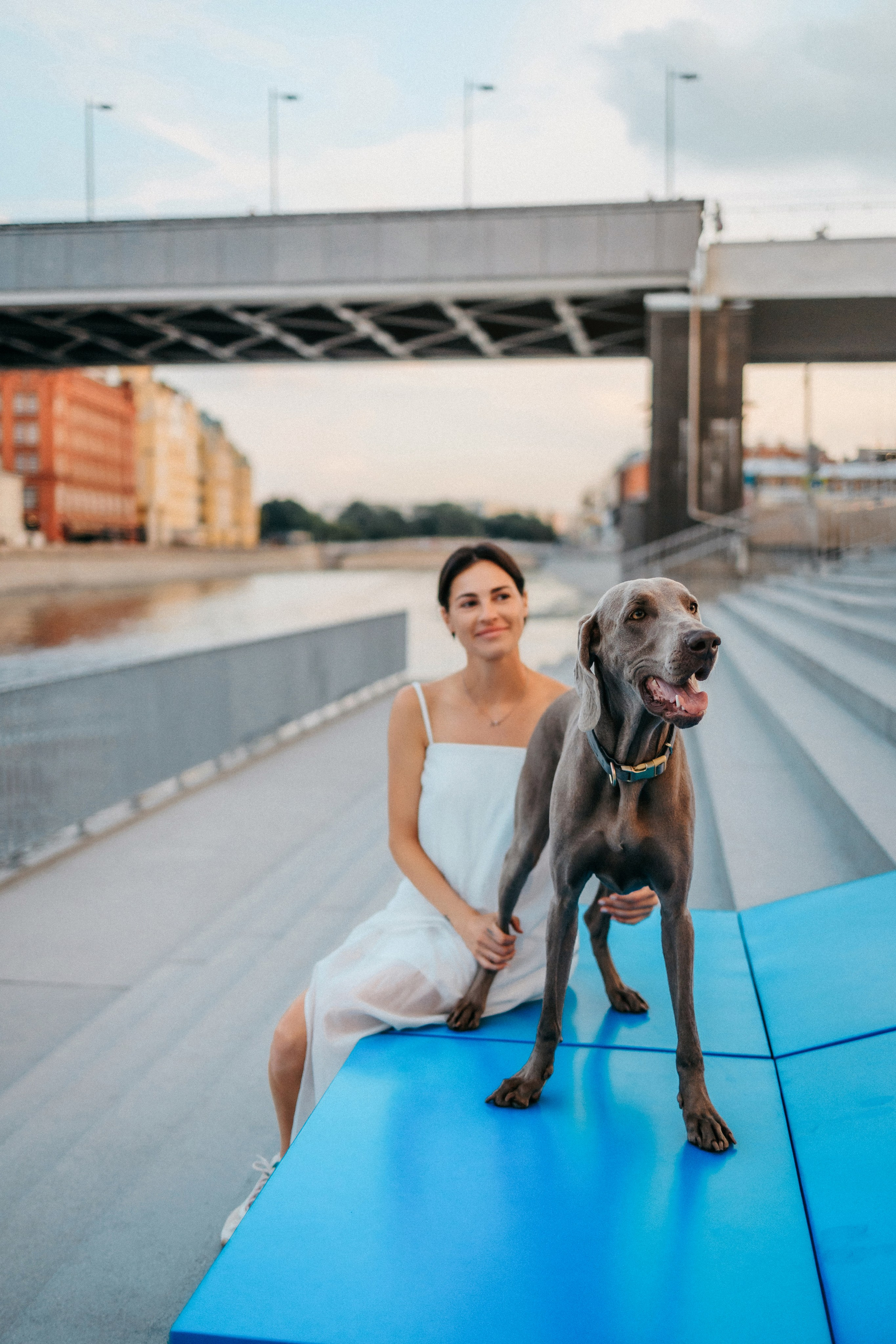 Соня и Майли. Фотограф-анималист Елена Радченко, Москва