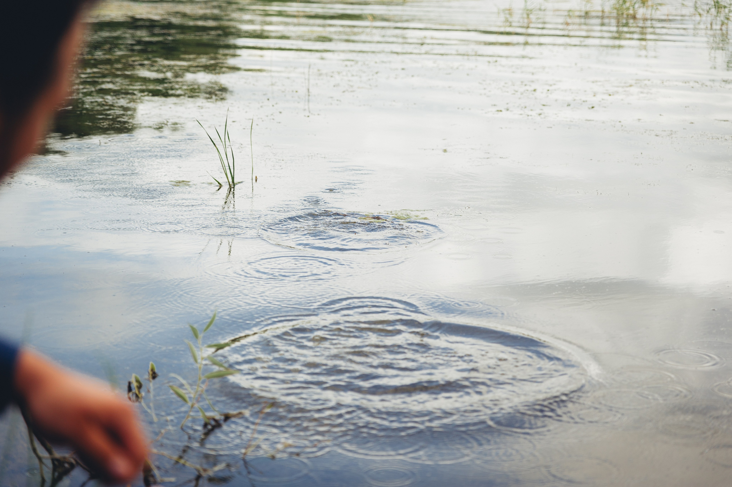 Фотосессия лав стори в Минске. Свадебный и семейный фотограф в Минске Филиппович Александр