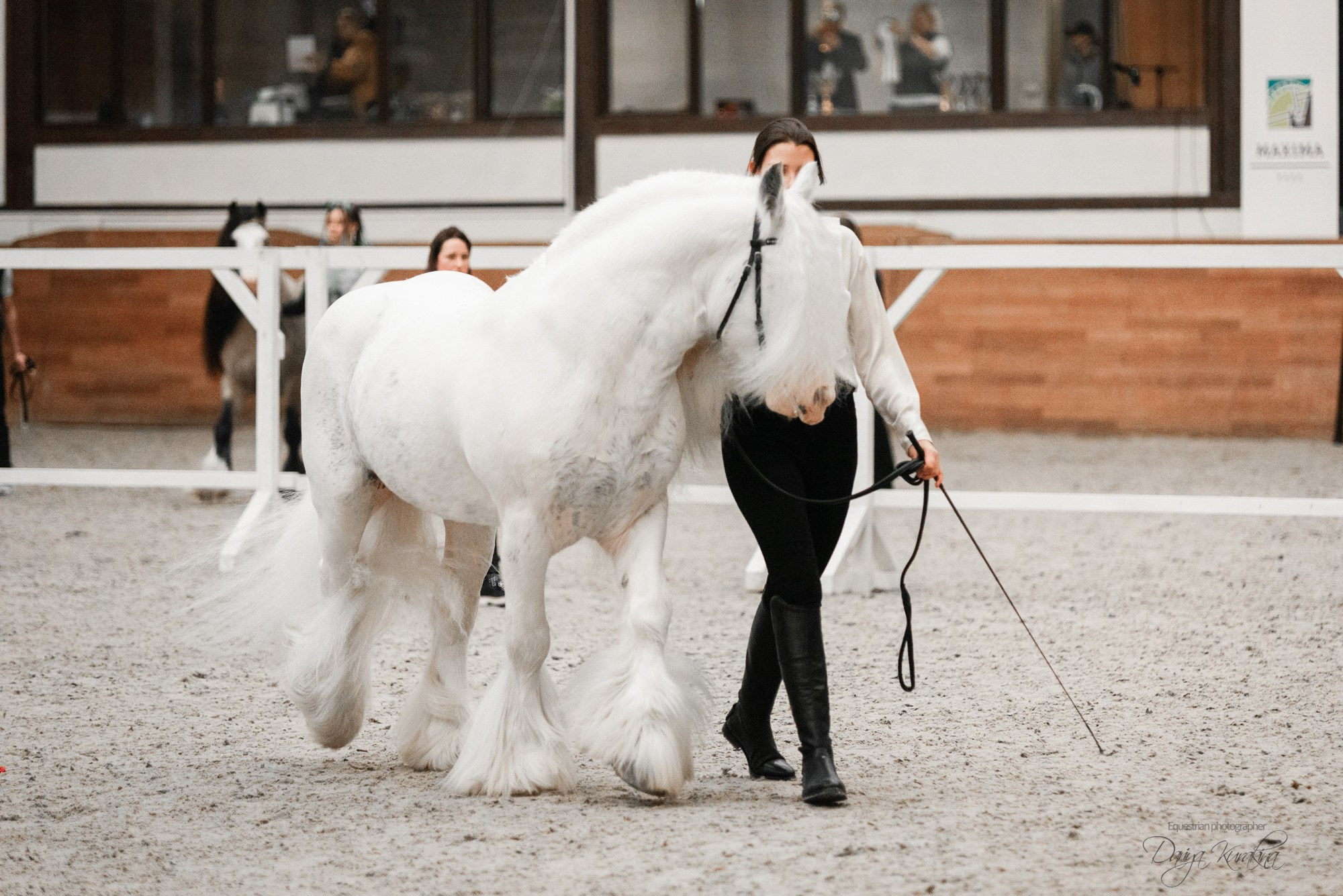 8-я международная выставка Конная Россия. Конный фотограф Куракина Дарья • Фотосессии с лошадьми