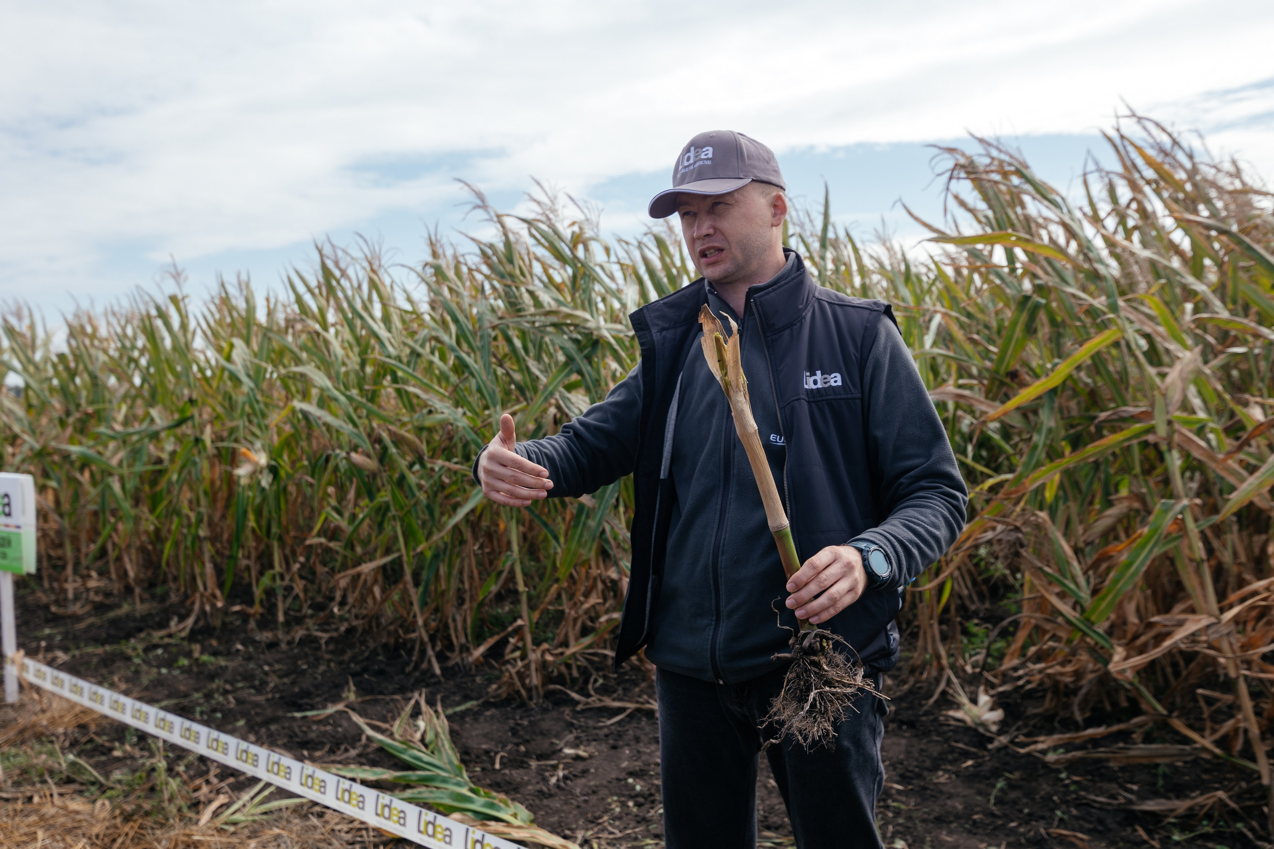 День поля. Фотограф Крохин Олег