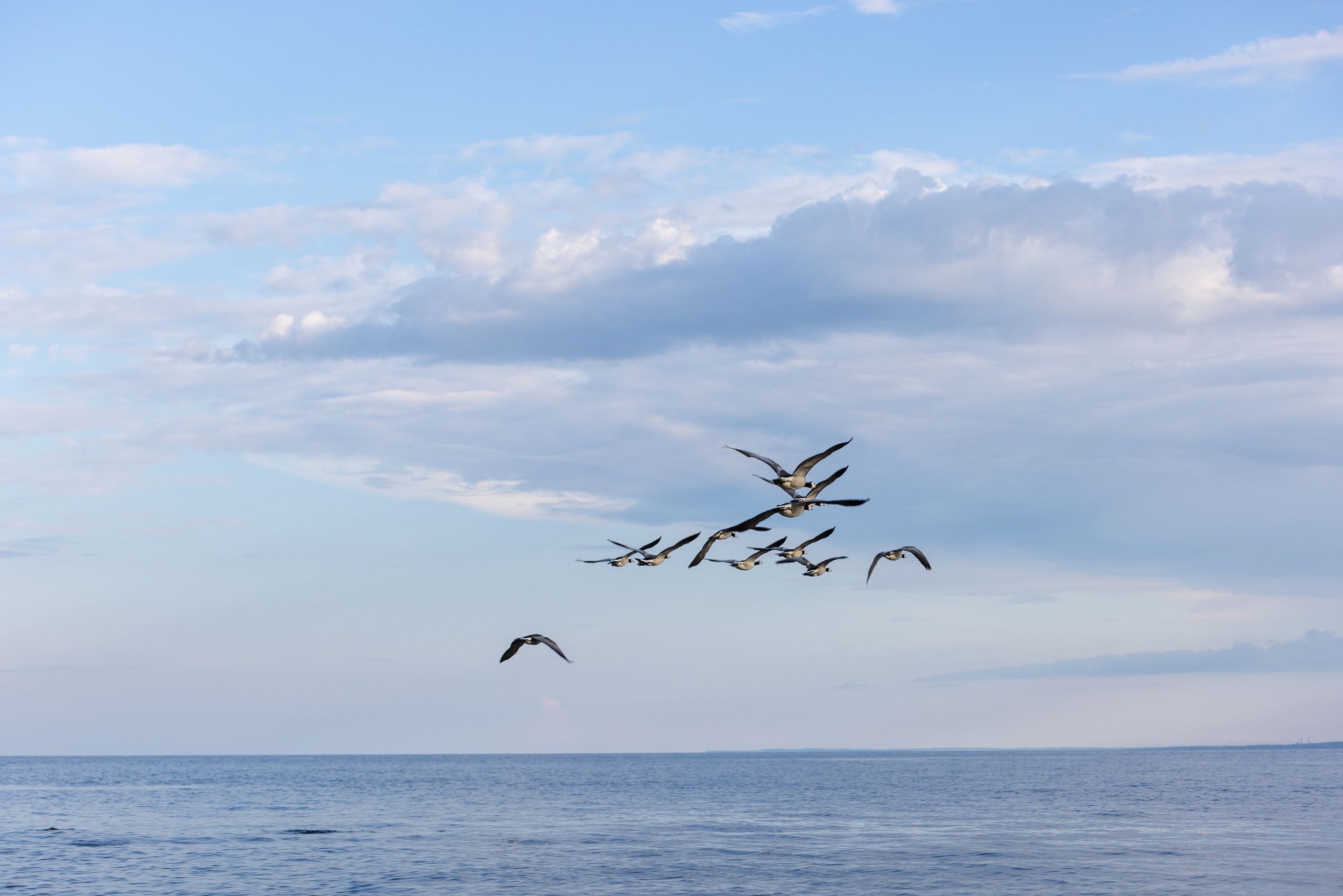 Ладога. Автомобильная фотография в Санкт-Петербурге