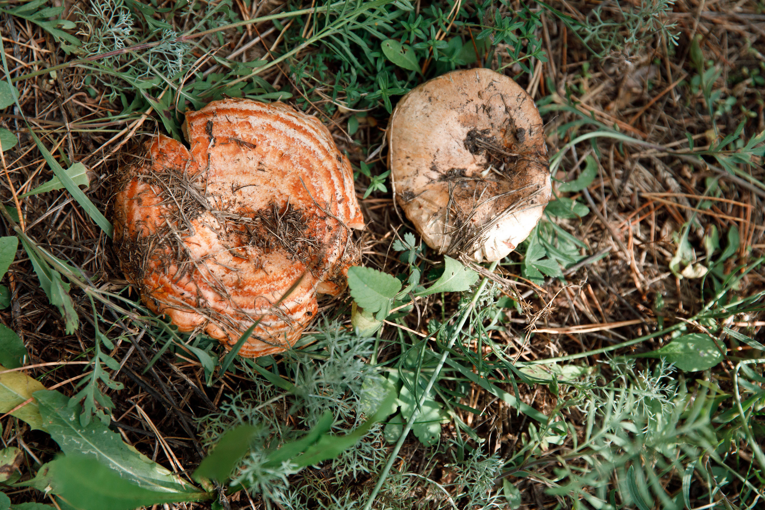 Классный отдых. Свадебный, семейный и школьный фотограф в Сызрани Максим Баталов