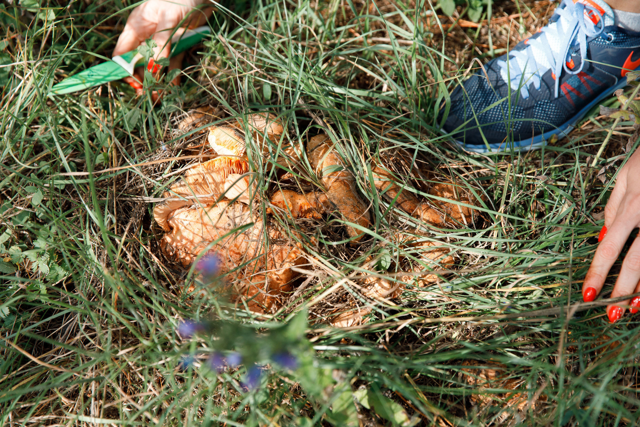 Классный отдых. Свадебный, семейный и школьный фотограф в Сызрани Максим Баталов