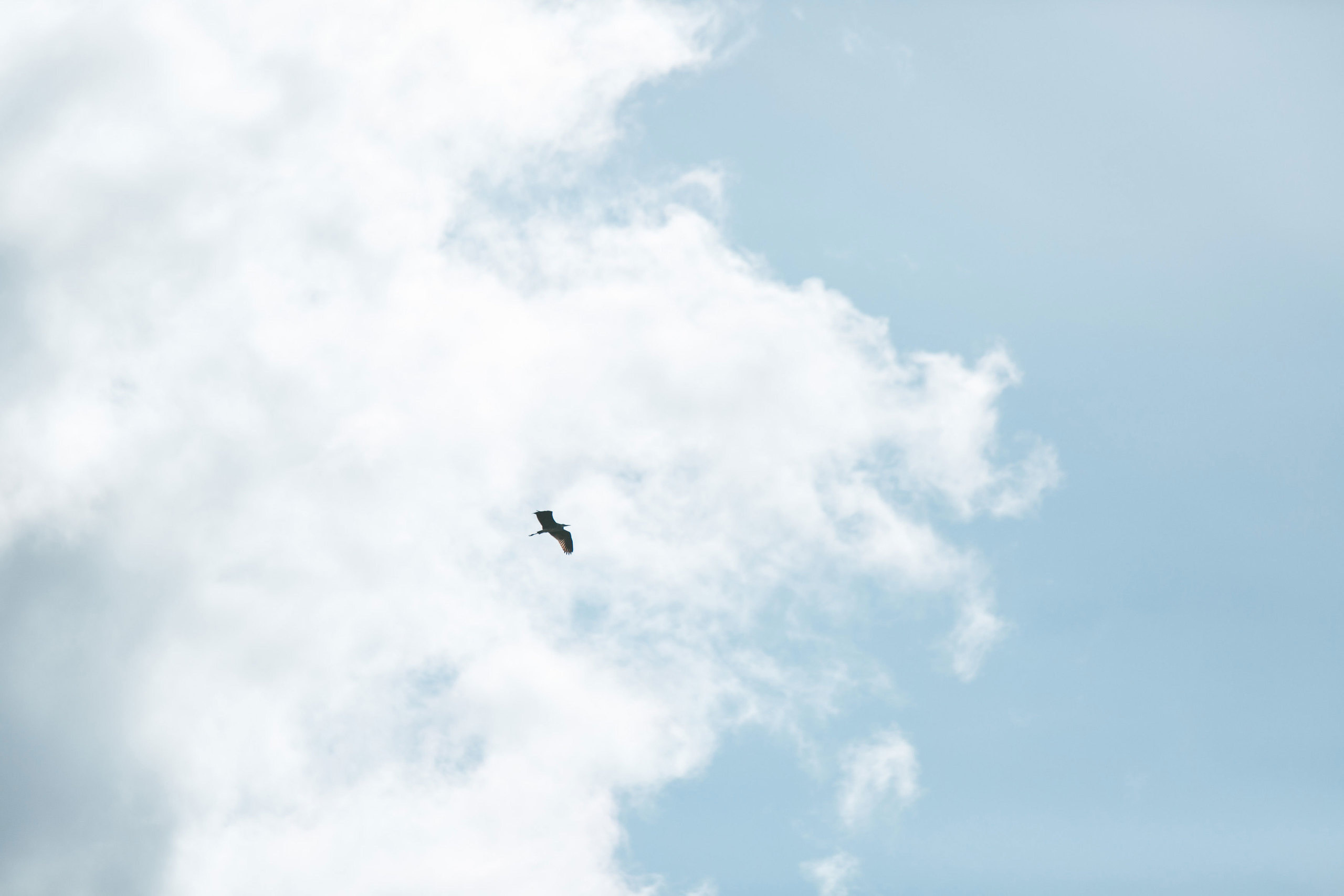 Классный отдых. Свадебный, семейный и школьный фотограф в Сызрани Максим Баталов