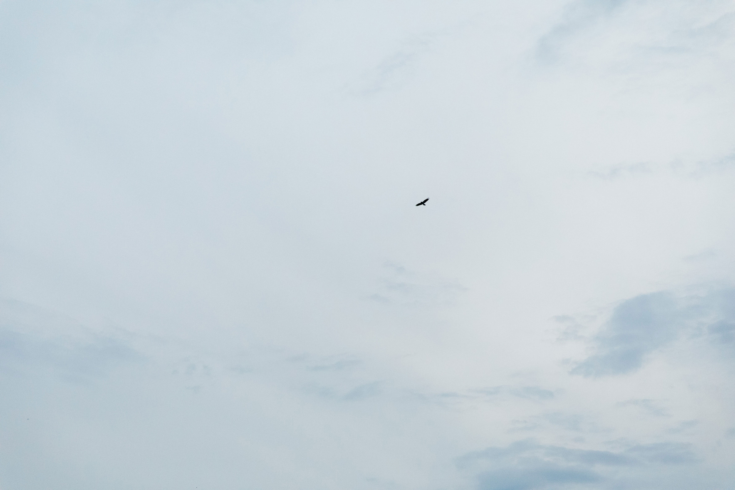 СВВАУЛ 50 выпуск. Свадебный, семейный и школьный фотограф в Сызрани Максим Баталов