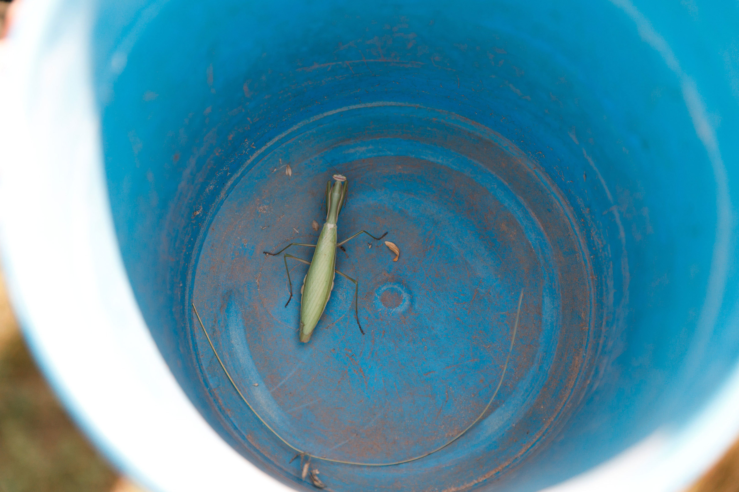 Классный отдых. Свадебный, семейный и школьный фотограф в Сызрани Максим Баталов