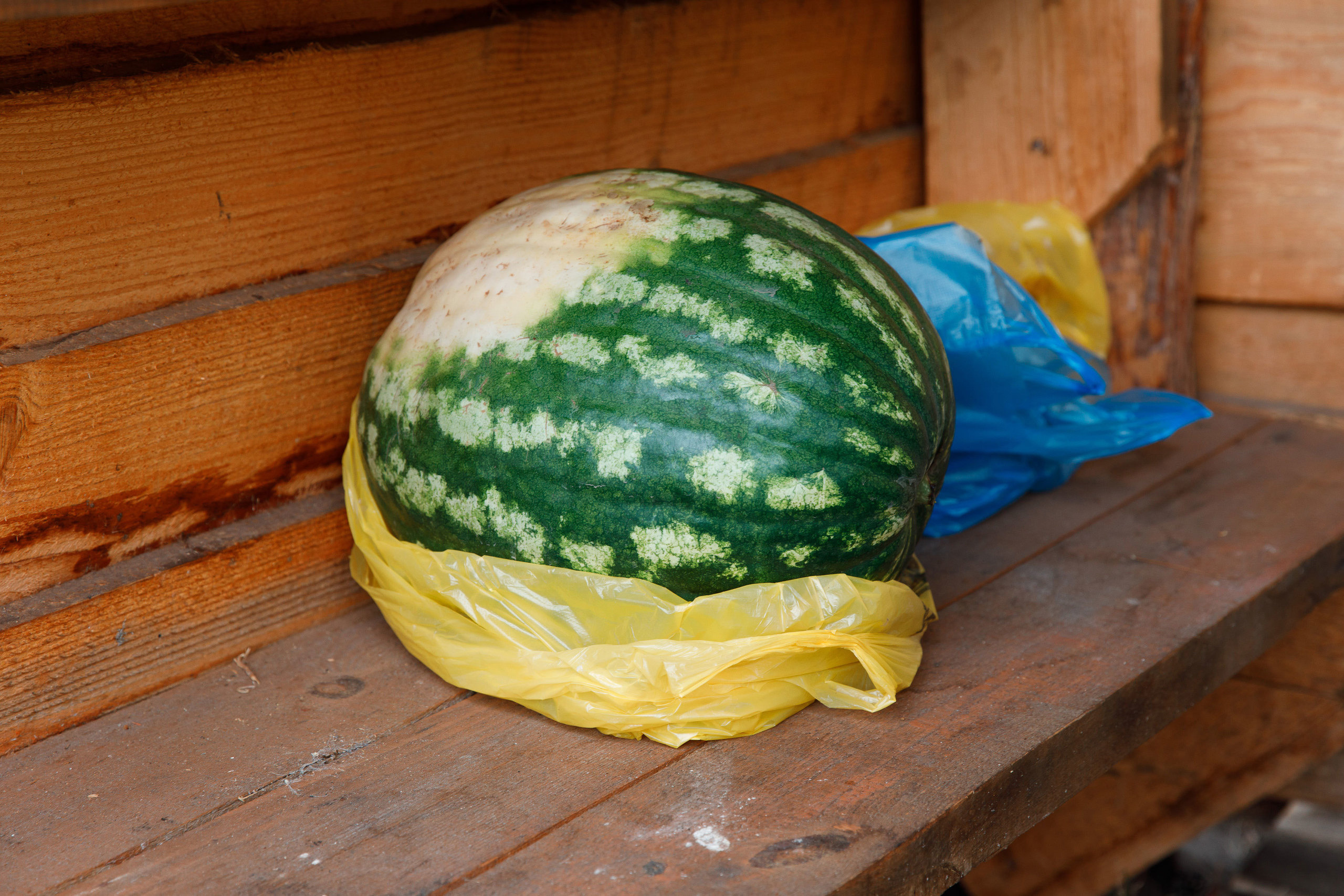 Классный отдых. Свадебный, семейный и школьный фотограф в Сызрани Максим Баталов