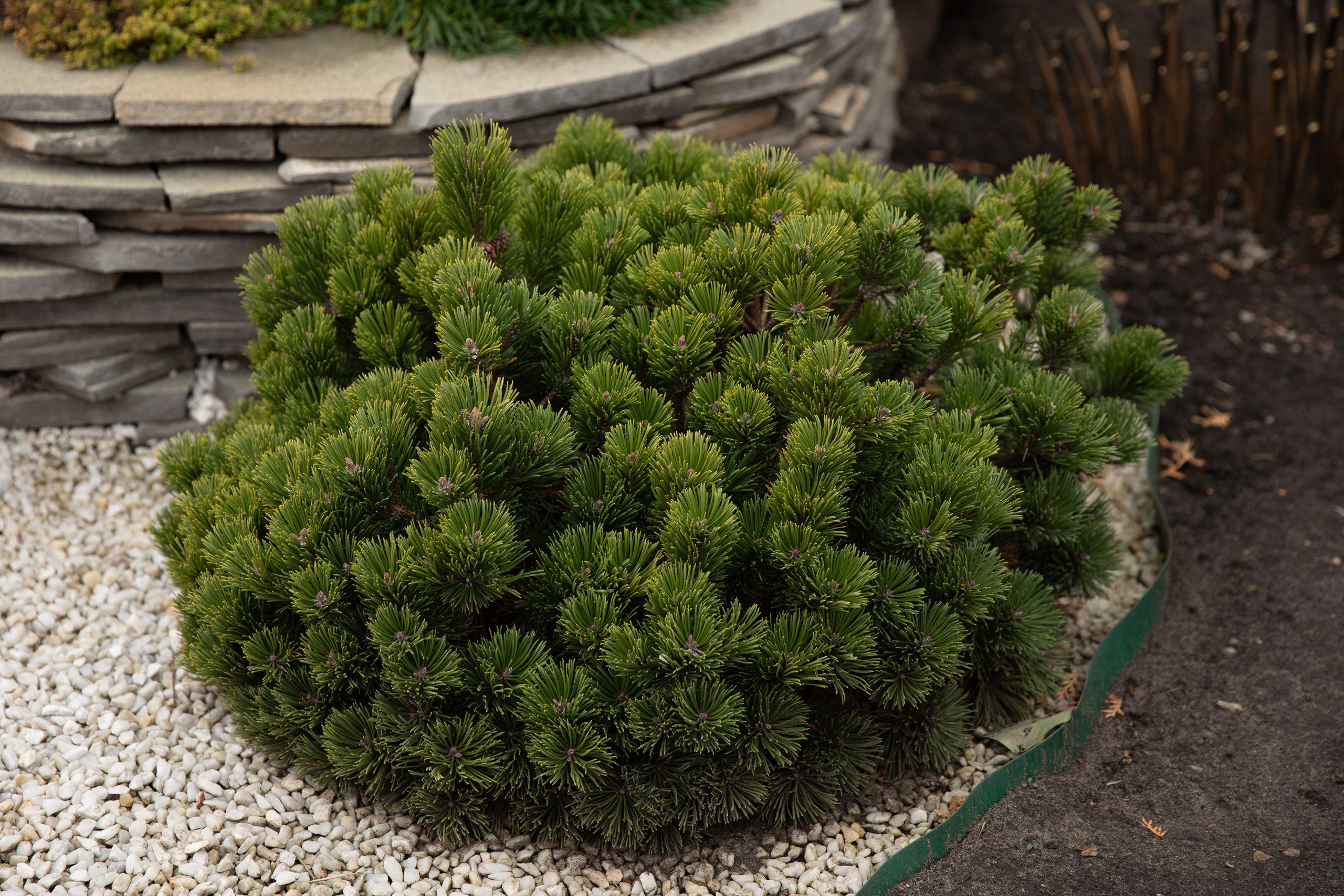 Крещение Льва. Свадебный, семейный и школьный фотограф в Сызрани Максим Баталов