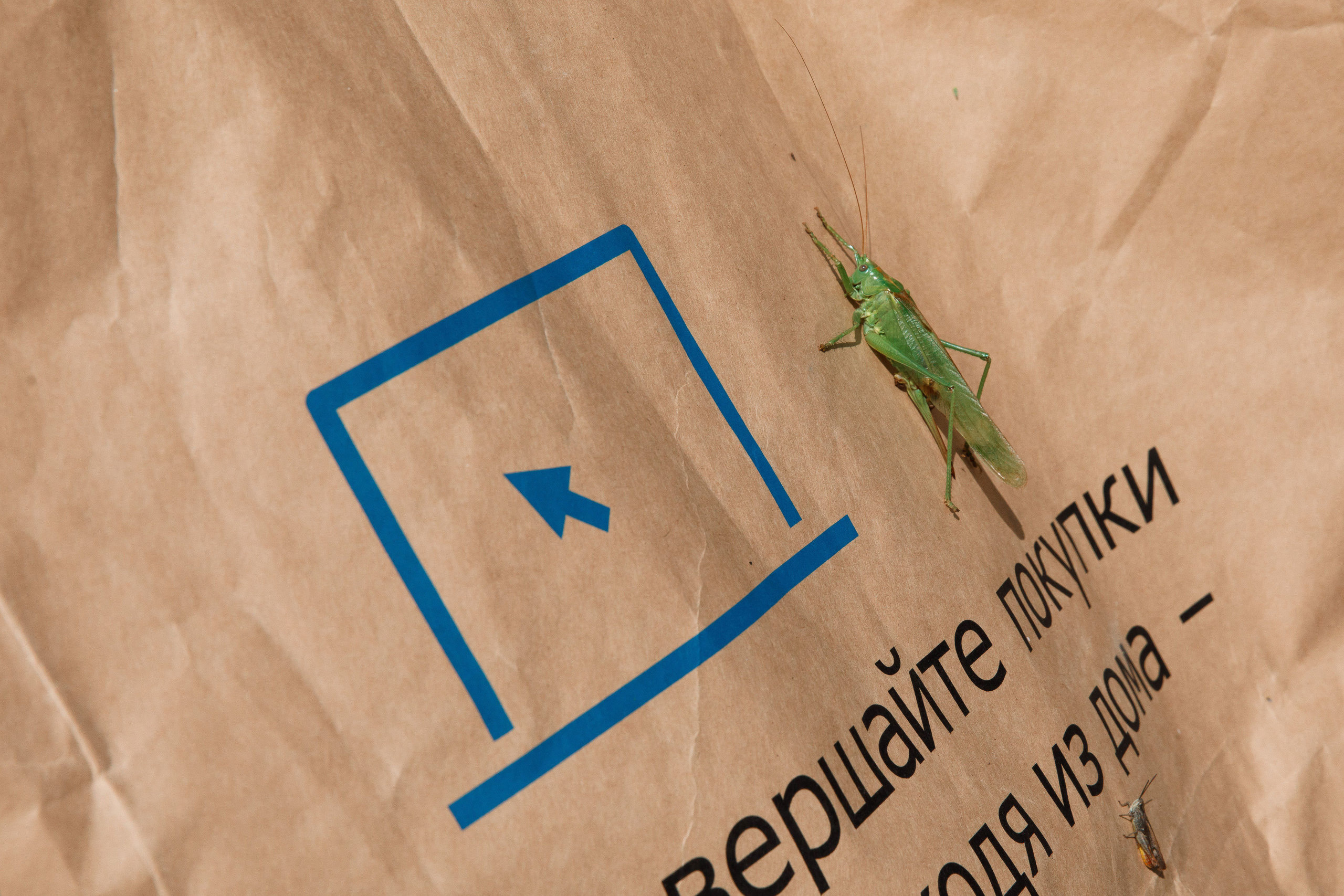 Классный отдых. Свадебный, семейный и школьный фотограф в Сызрани Максим Баталов