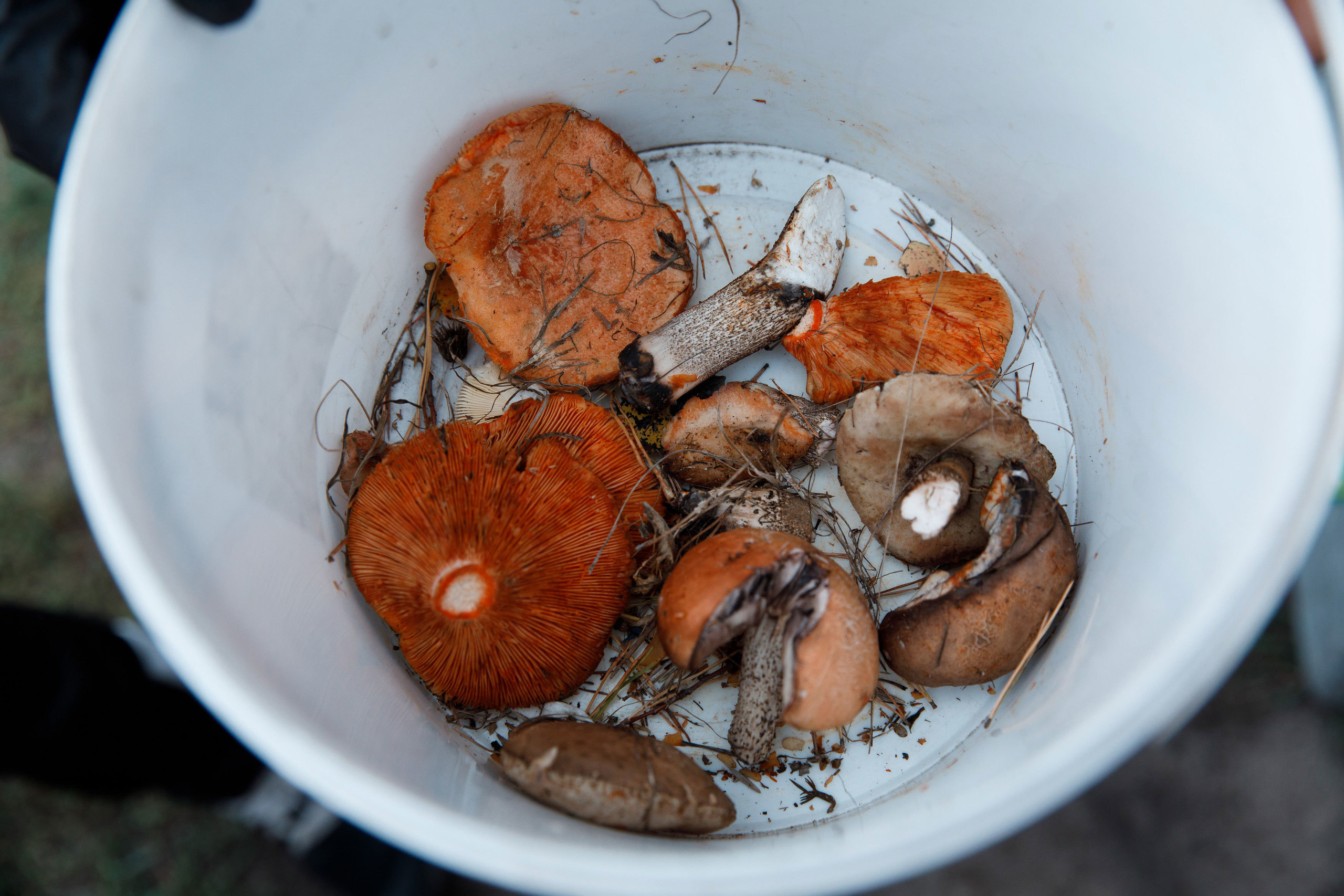 Классный отдых. Свадебный, семейный и школьный фотограф в Сызрани Максим Баталов