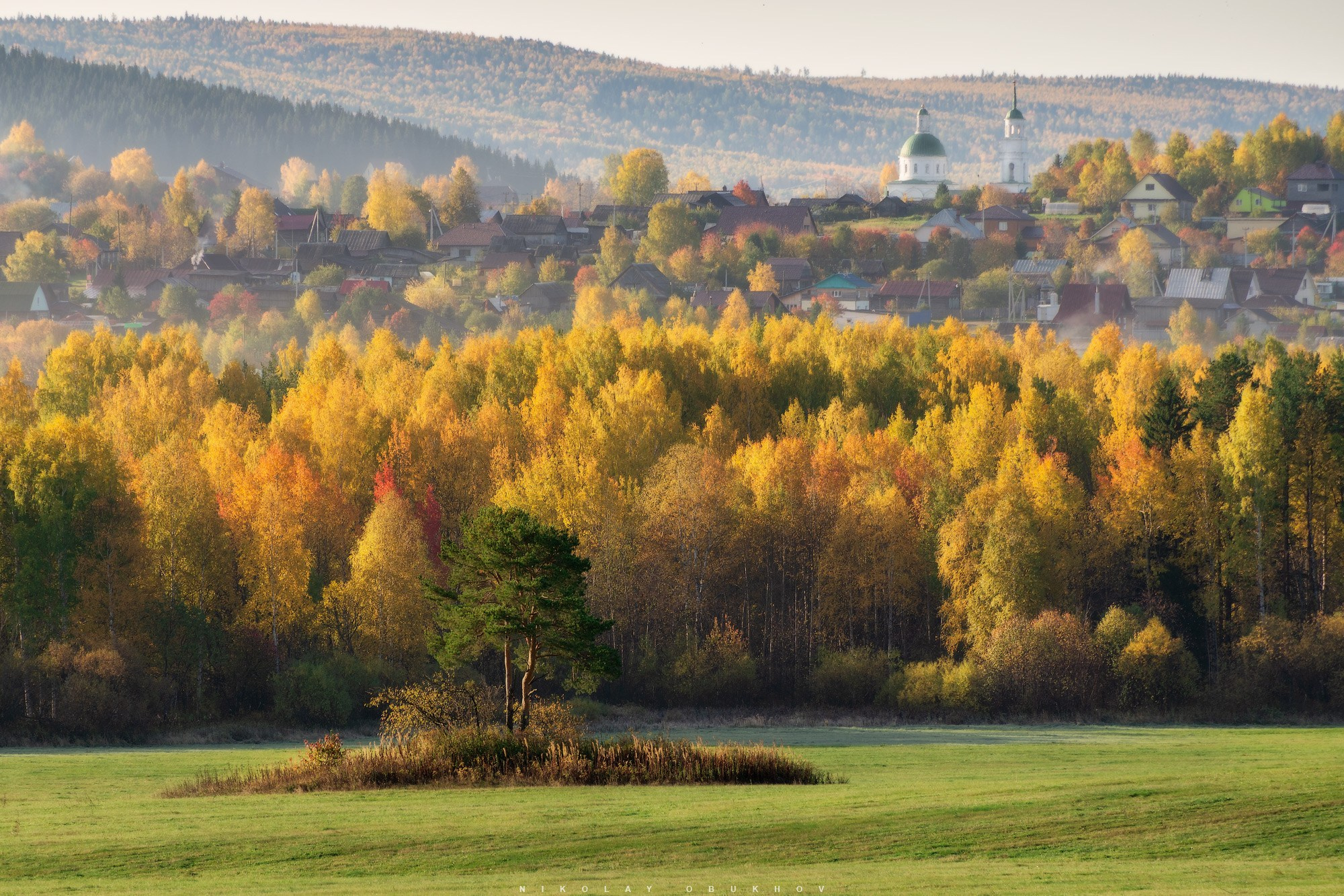 Настоящая картина осеннего пейзажа: одинокое дерево на деревенском поле, вдали поселок с церковью и лес в осенних красках.