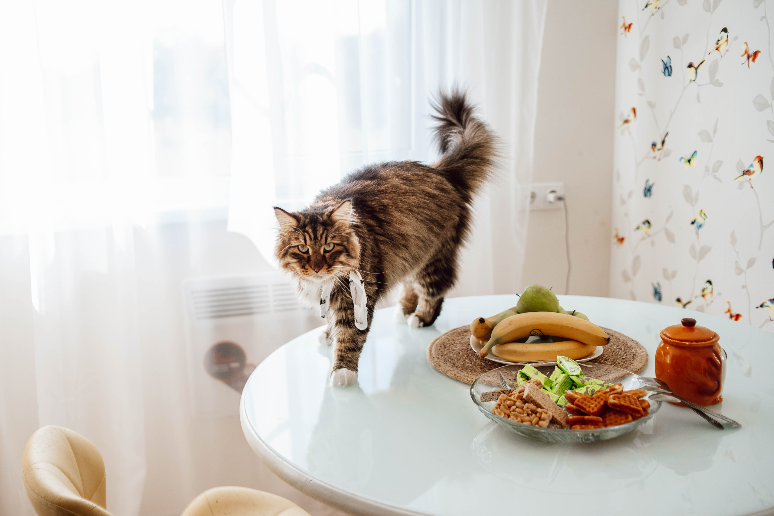 Алена, Саша, Саша и Кокос. Семейный и детский фотограф в Нижнем Новгороде Наумова Лидия
