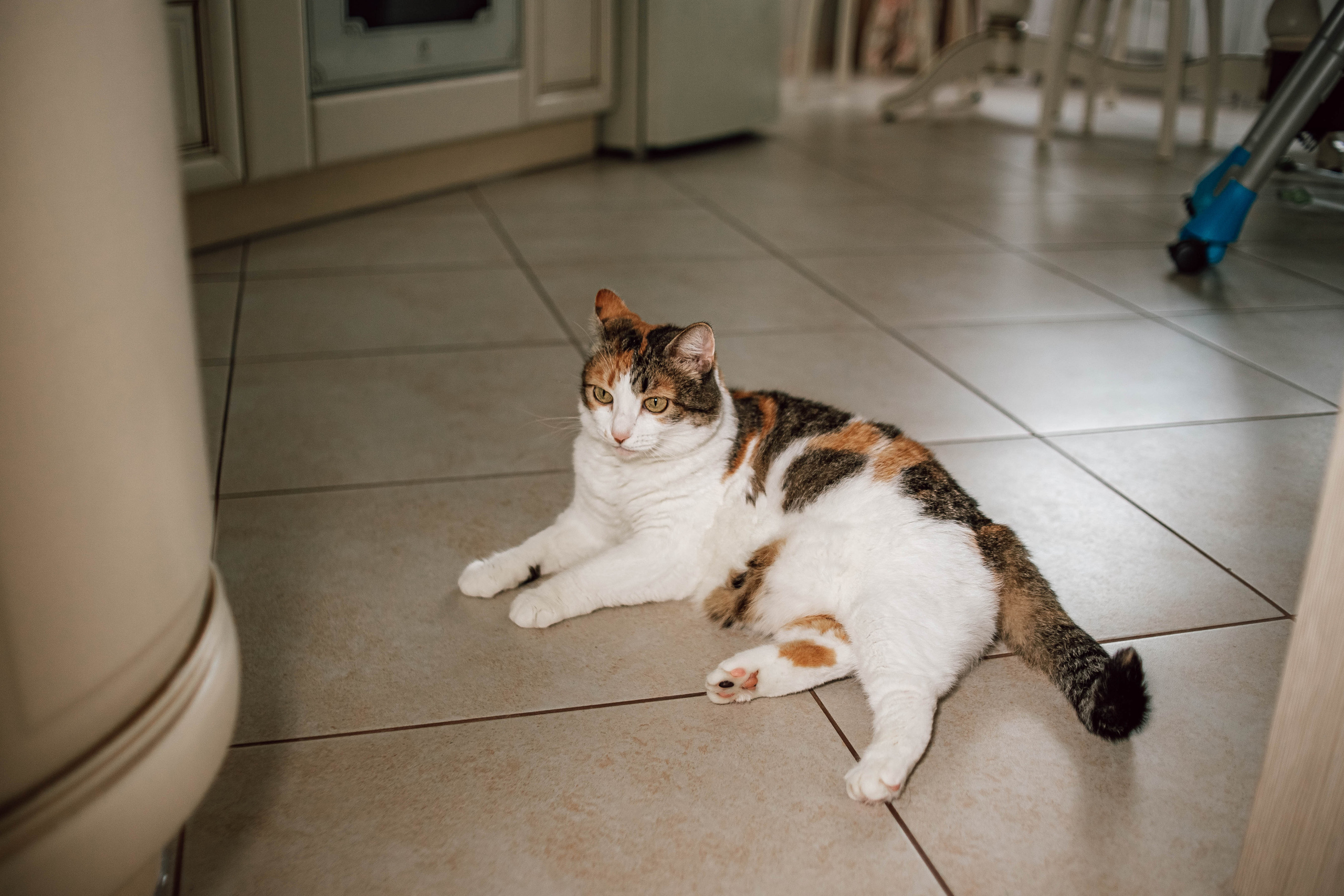 Настя, Саша, Кирилл и Лука. Семейный и детский фотограф в Нижнем Новгороде Наумова Лидия