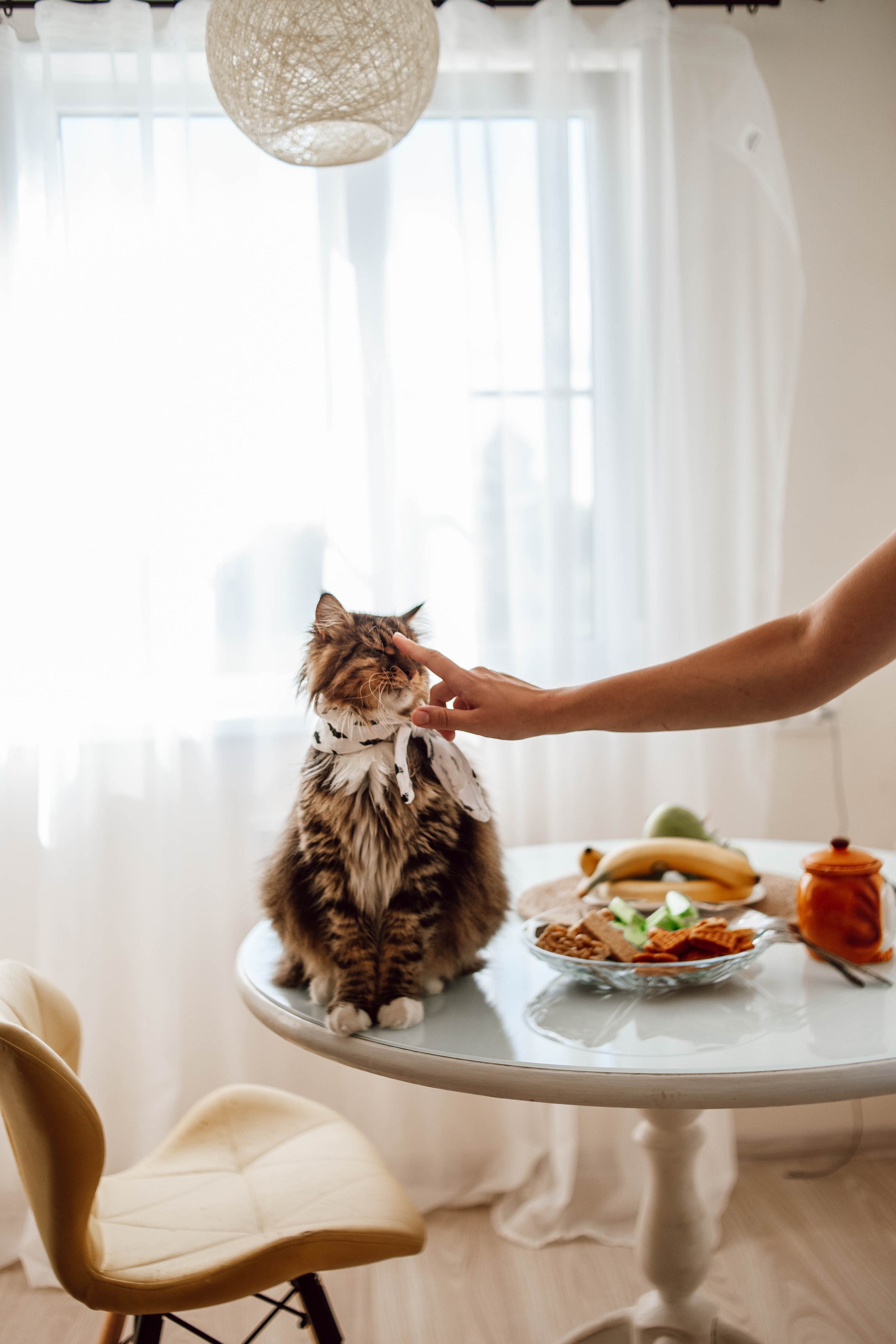Алена, Саша, Саша и Кокос. Семейный и детский фотограф в Нижнем Новгороде Наумова Лидия