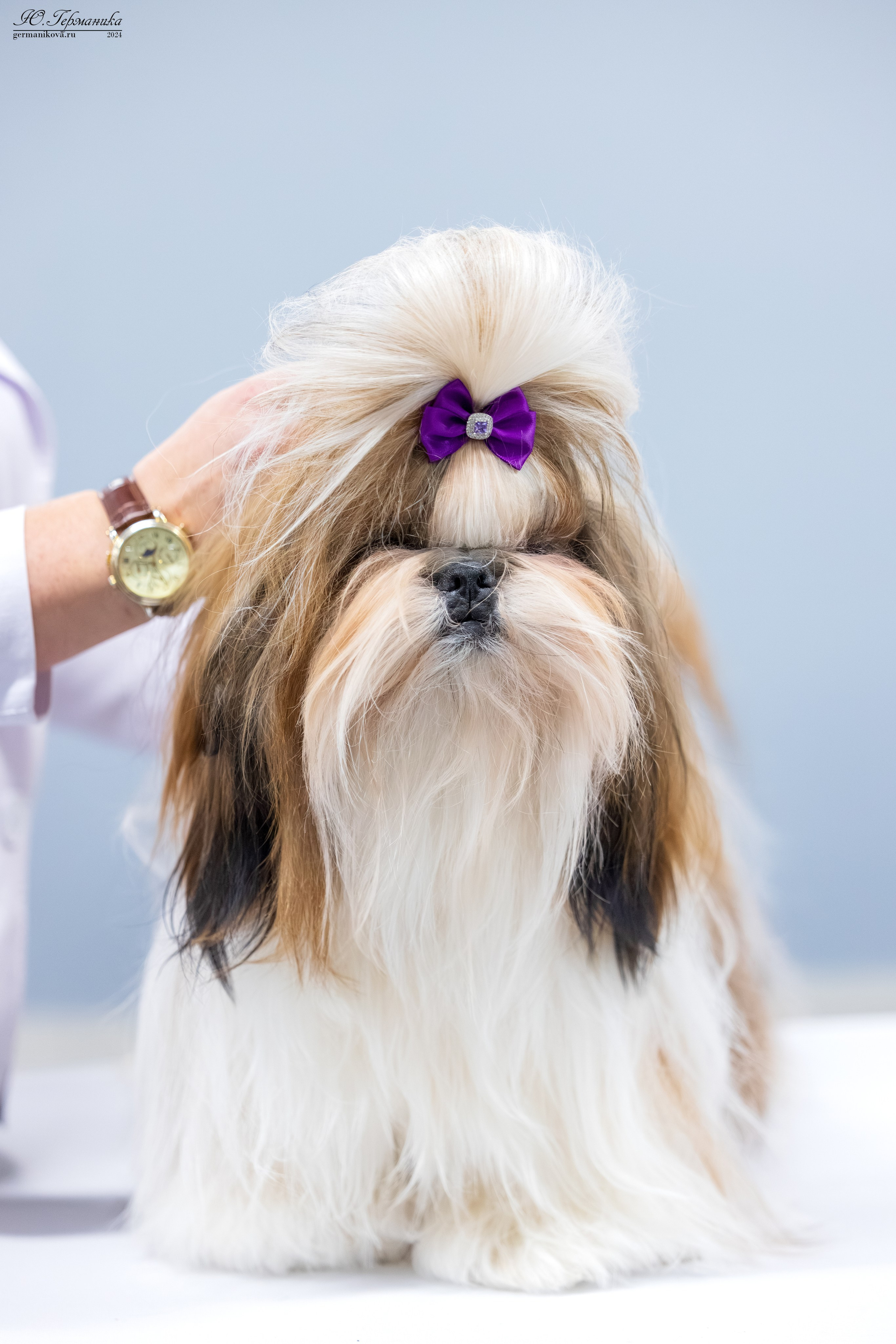 Сфера 17.03.2024. Фотограф-анималист Юлия Германика