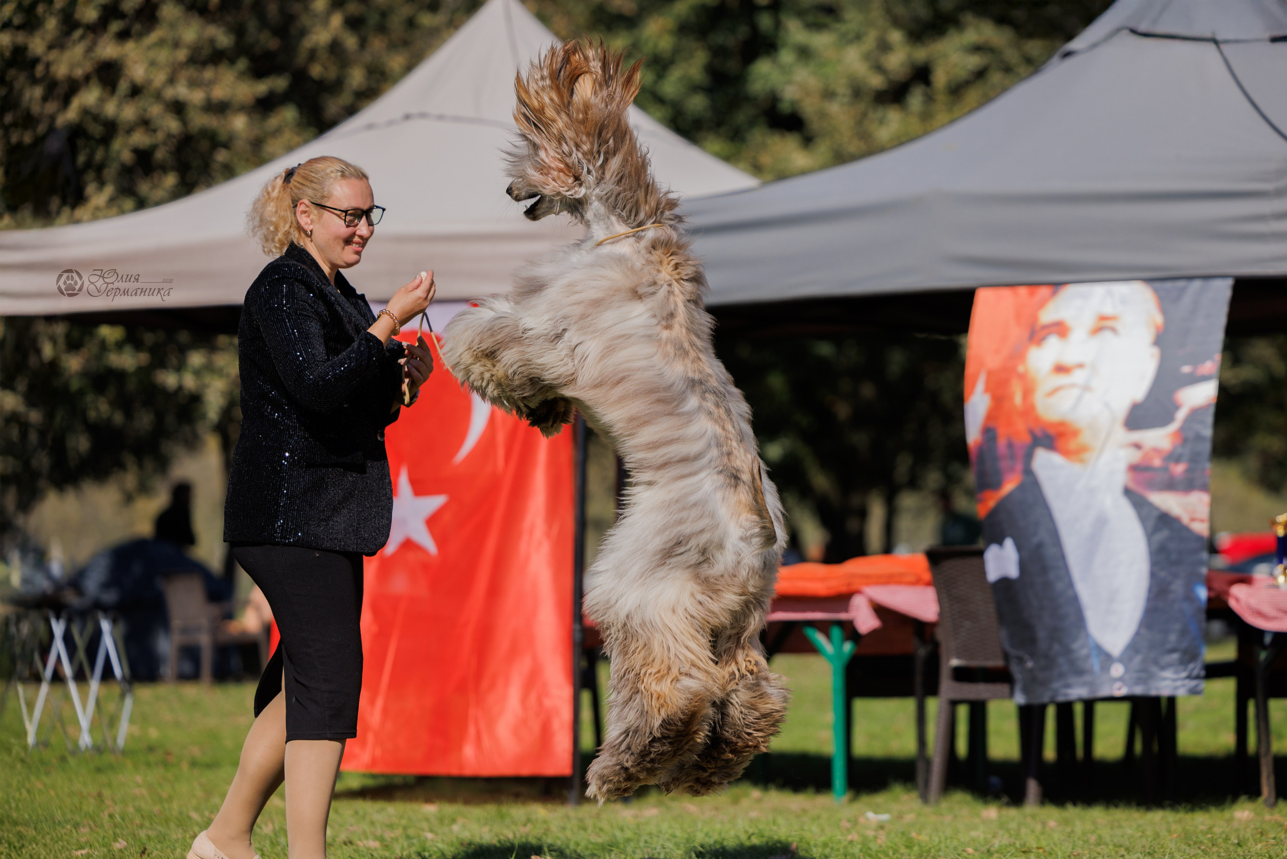 Туция,Стамбул 2хCACIB 26-27.10.24. Фотограф-анималист Юлия Германика