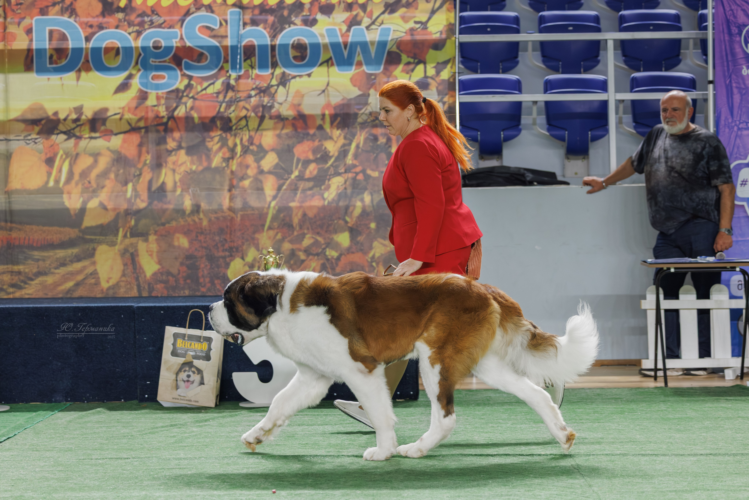 Телави 11-12.10.2025. Фотограф-анималист Юлия Германика