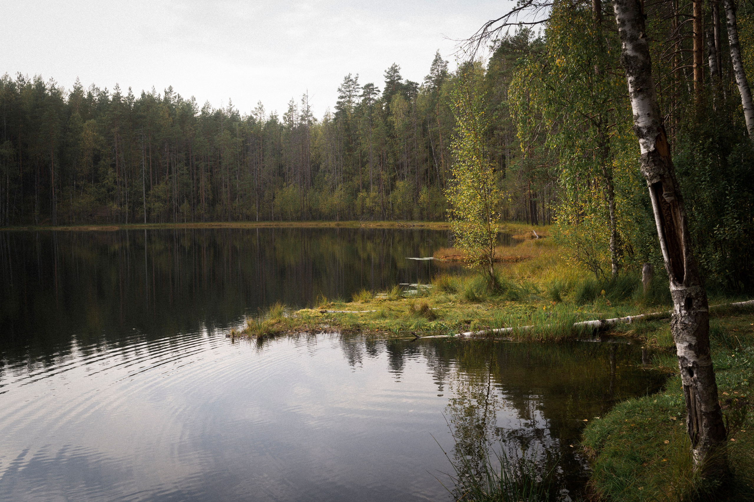 North 2024. Kartascheff