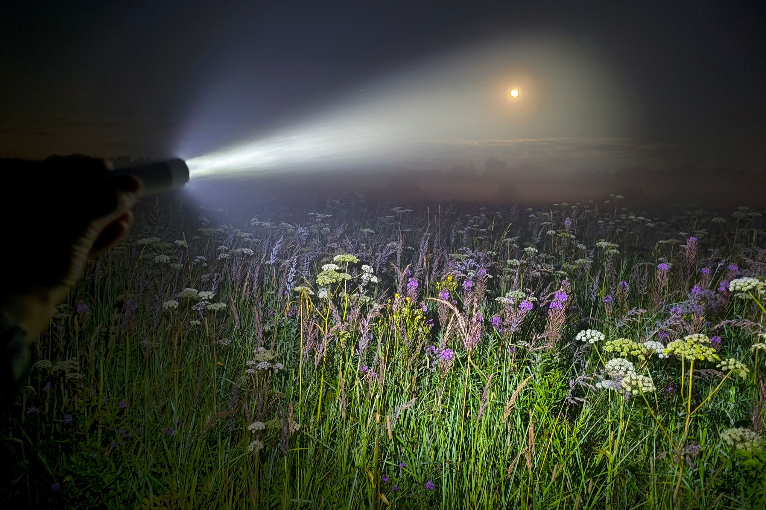 Мобильное фото. Foto-Zuev фотография как искусство
