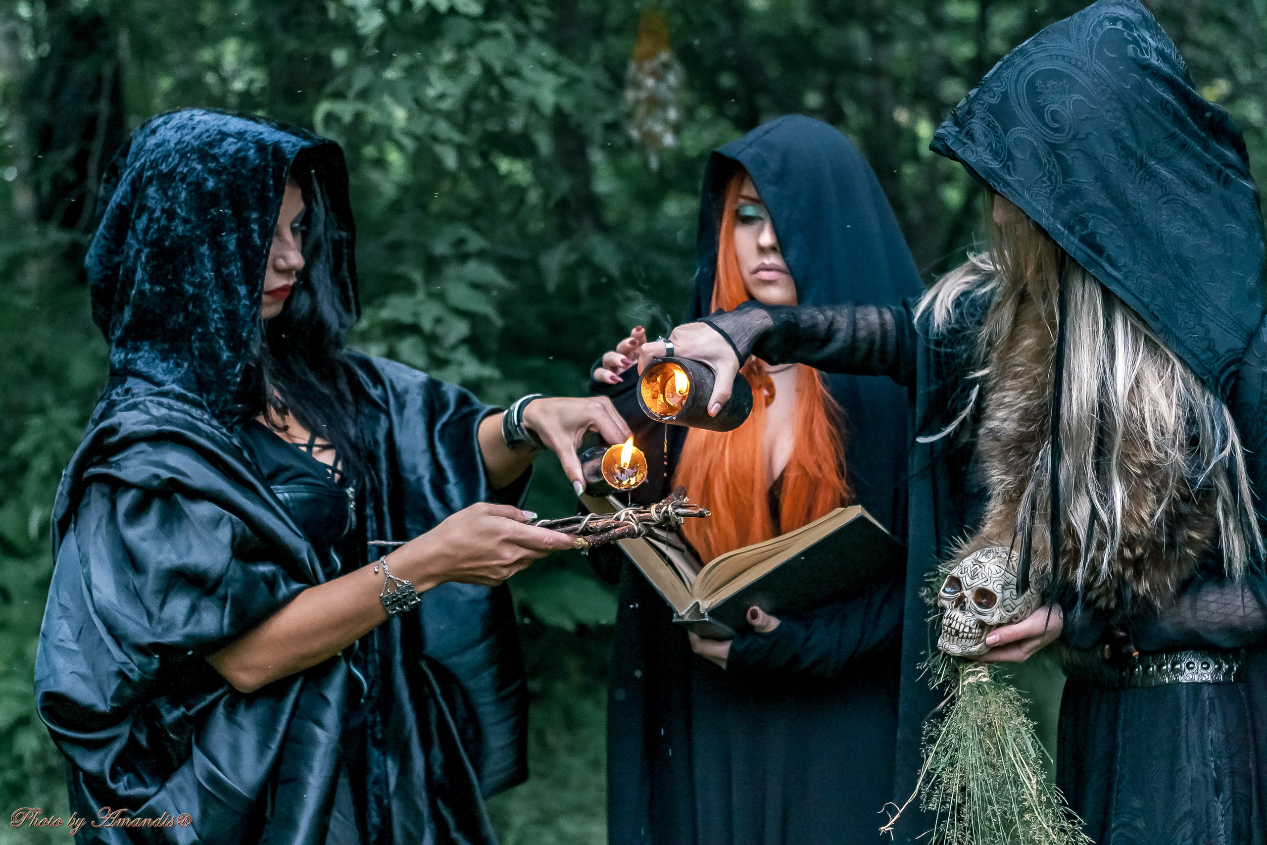 The witches. Репортажная съемка в Москве и области. Анималистика