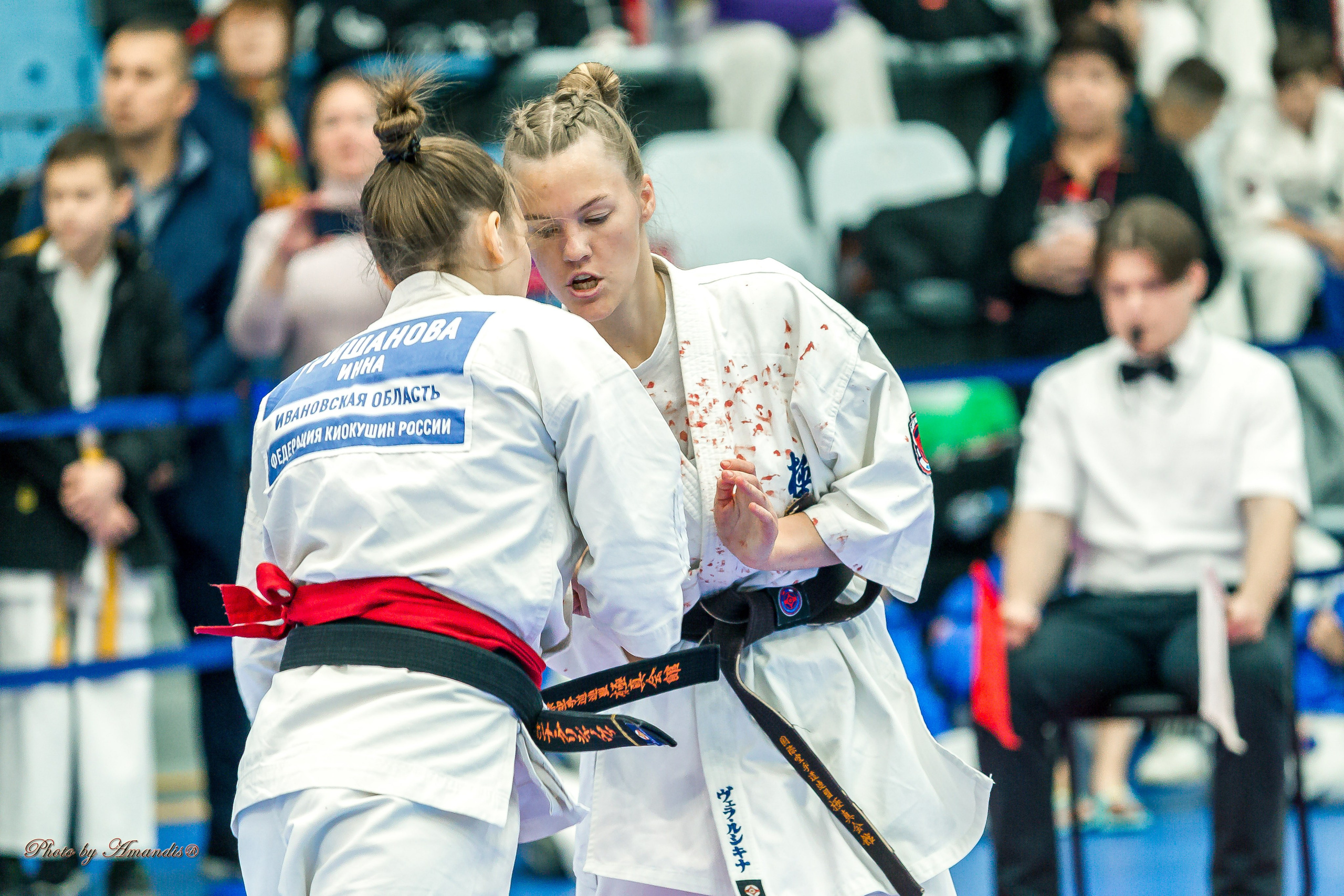 Чемпионат по Киокушинкай Центрального Федерального округа. Репортажная съемка в Москве и области. Анималистика