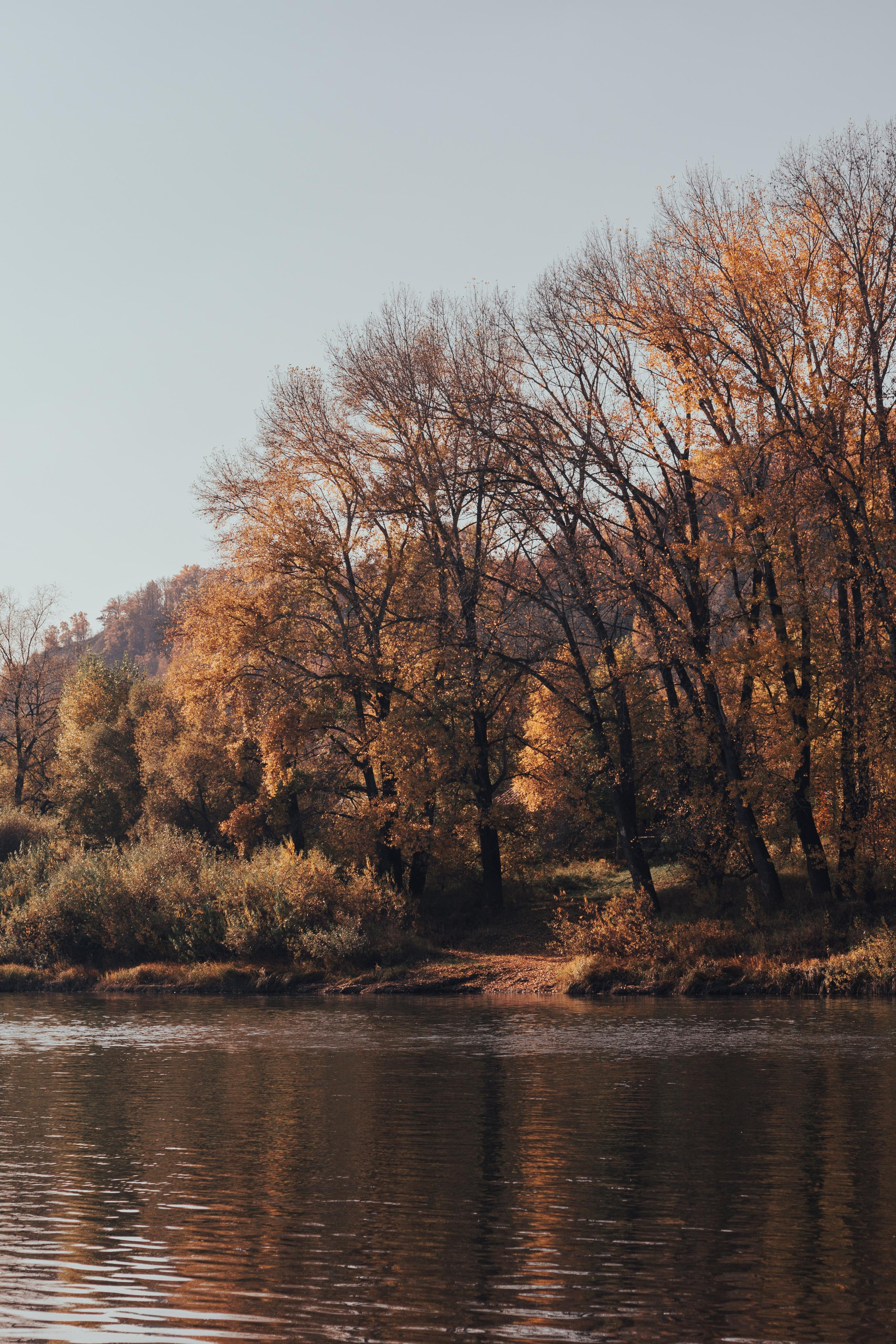 Шафиковы (осень 2020)