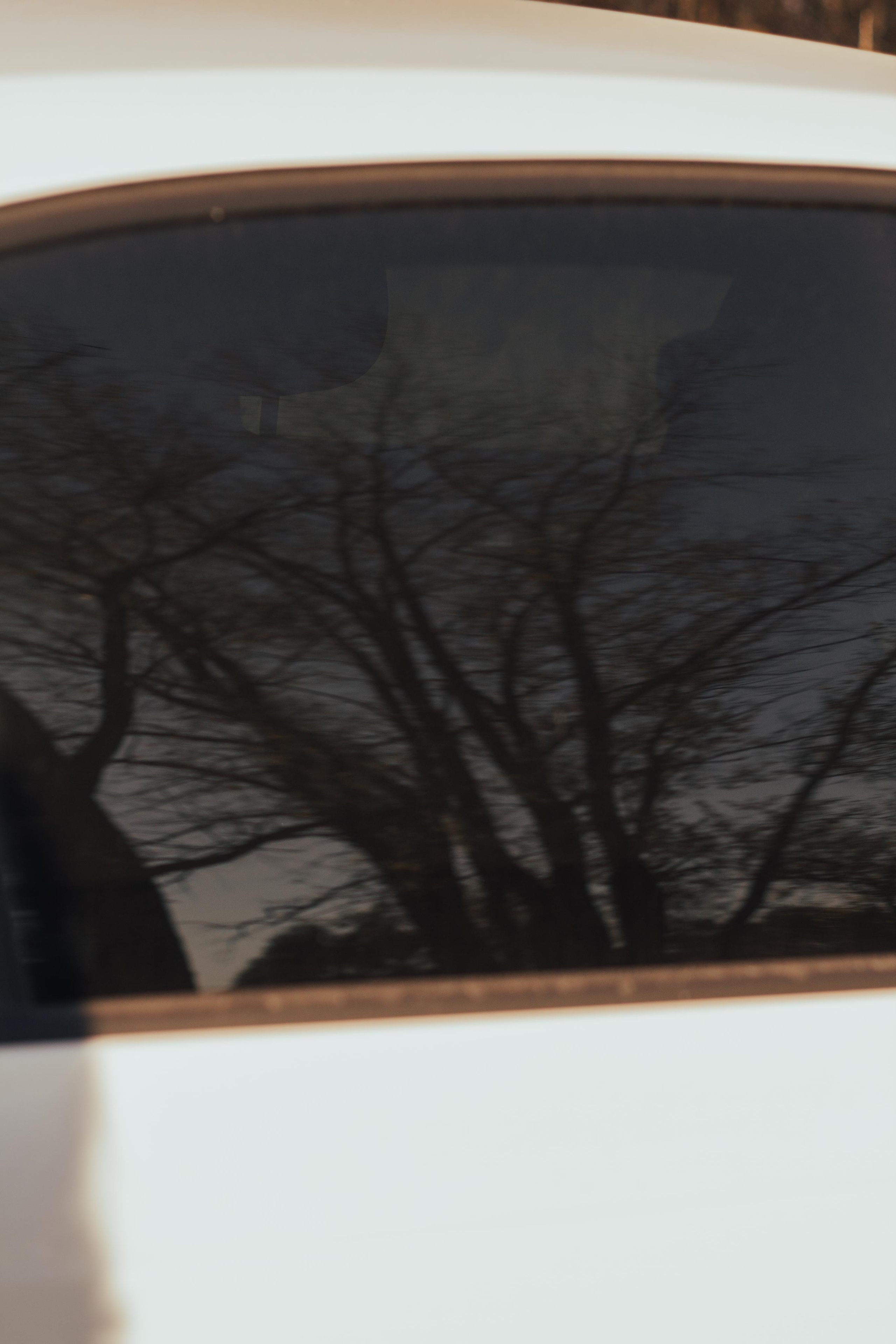 Шафиковы (осень 2020)