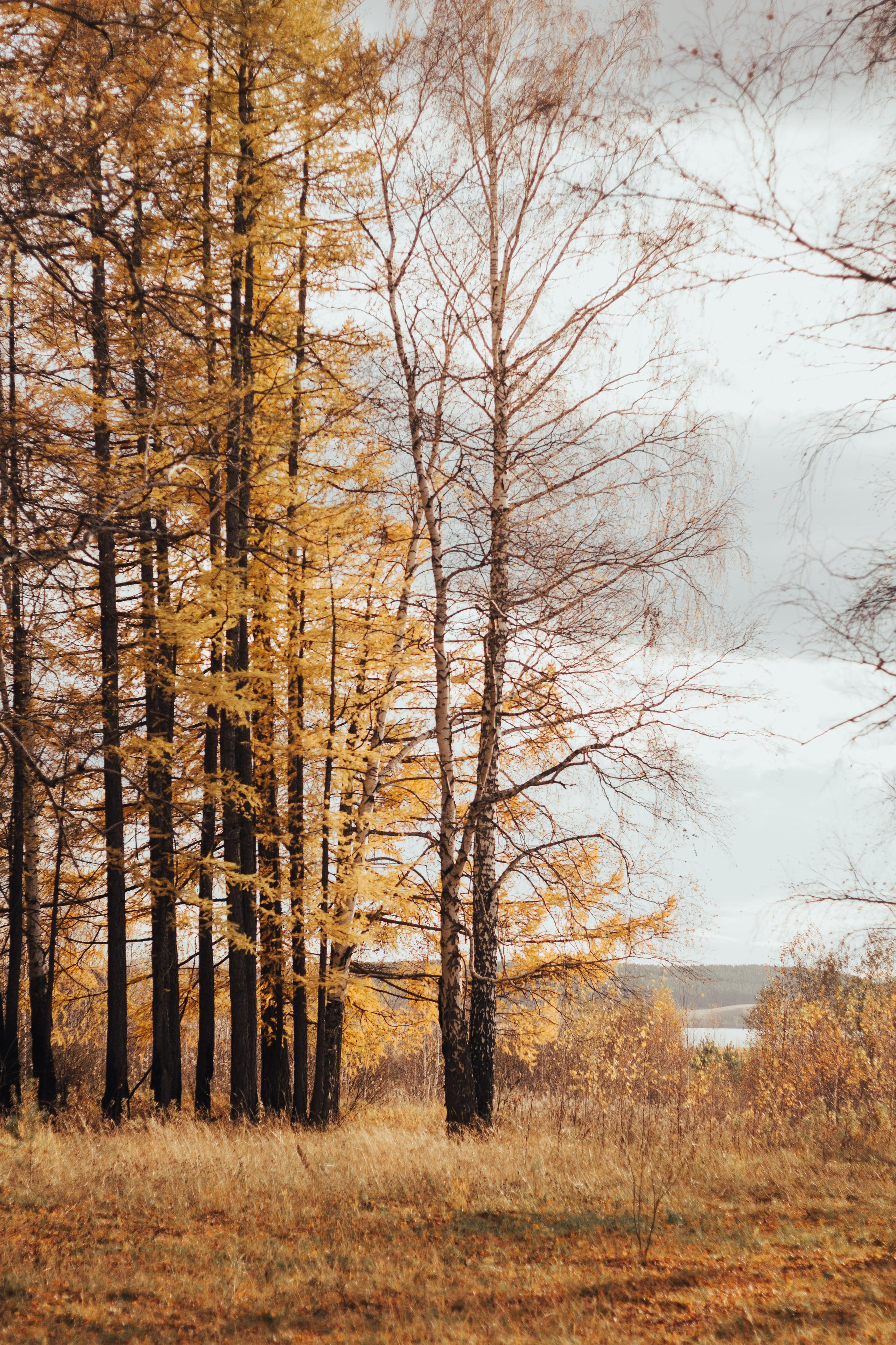 Нуритдиновы