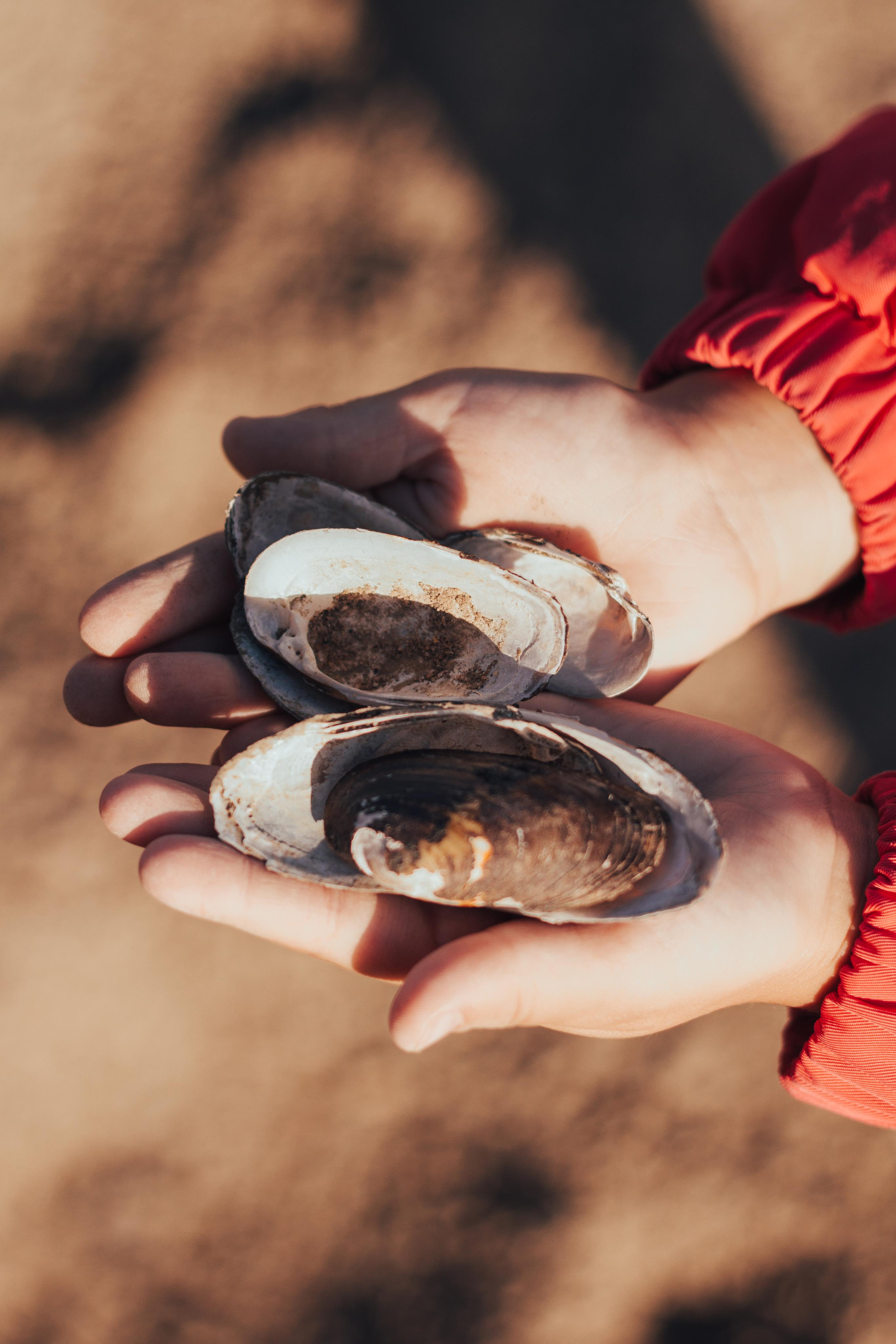 Шафиковы (осень 2020)