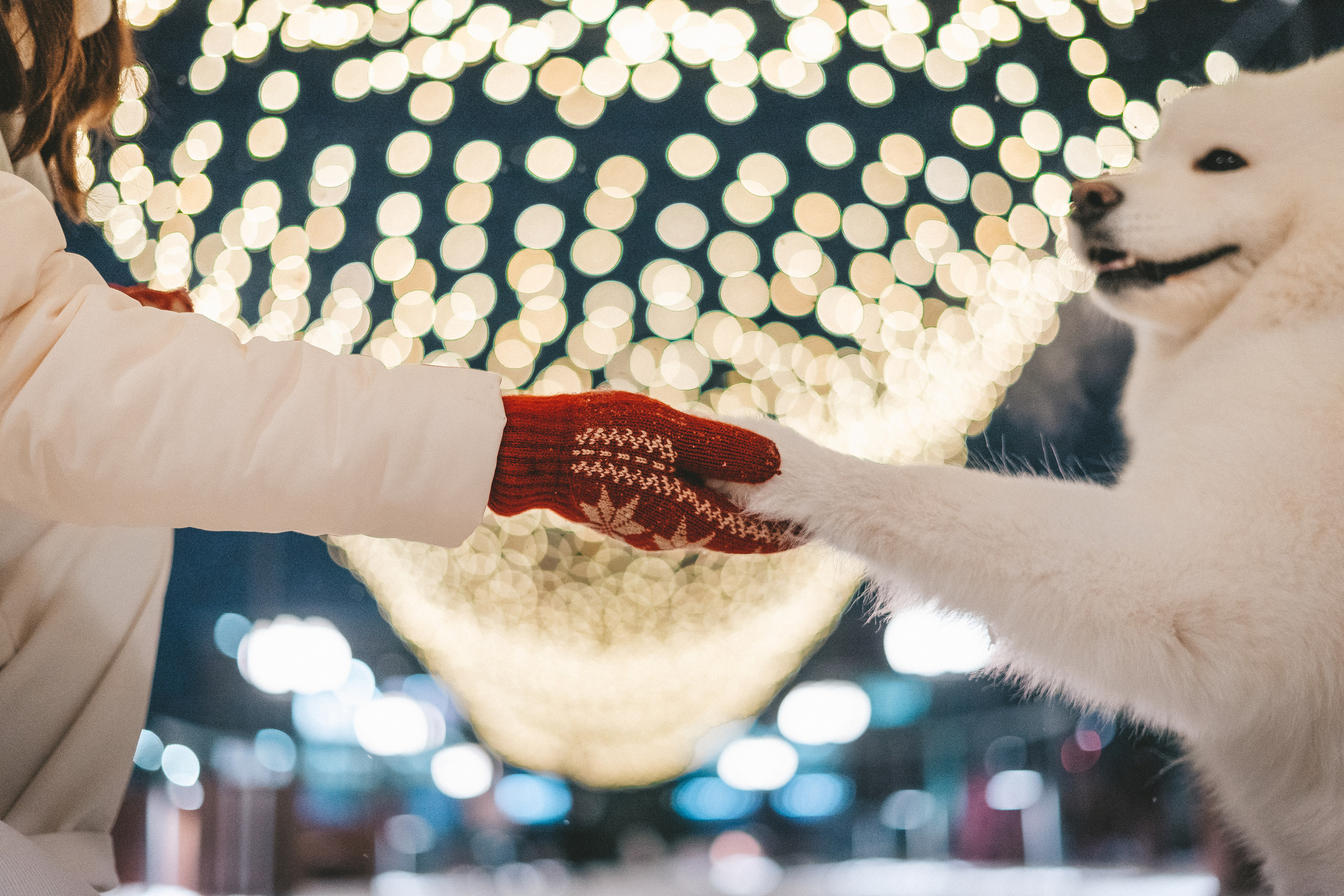 FLUFFY. Свадебный и семейный фотограф в Красноярске Анастасия Турчанова