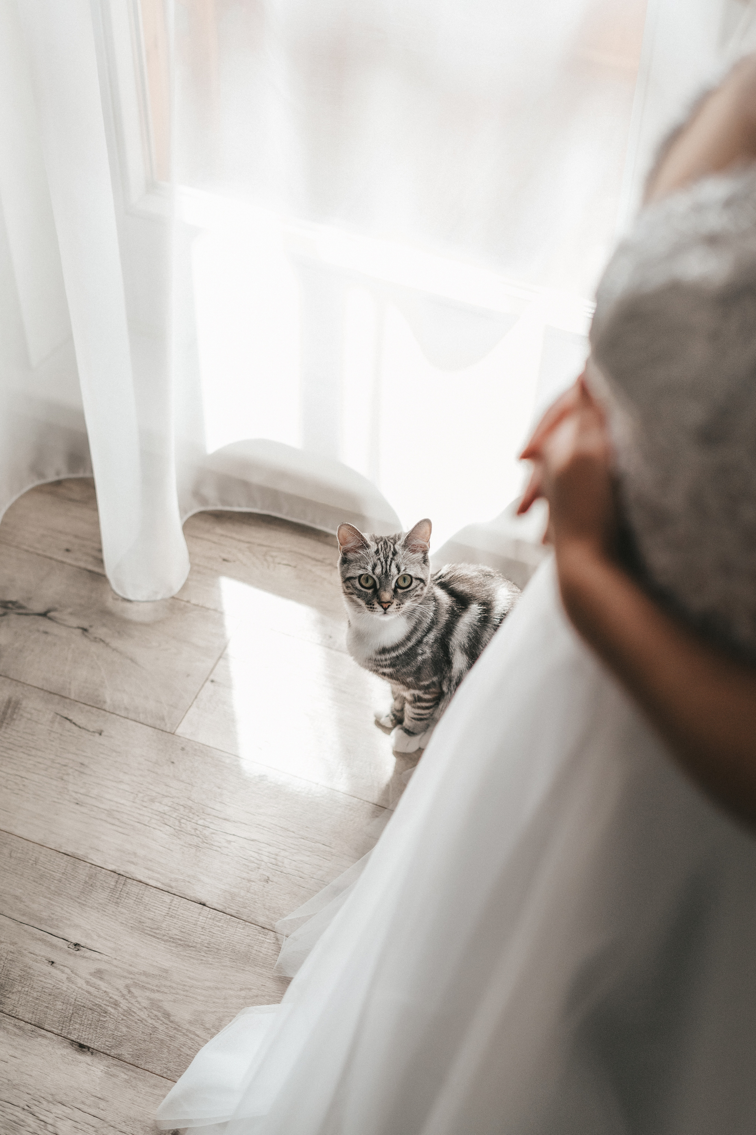 Дмитрий и Елена. Свадебный и семейный фотограф в Красноярске Анастасия Турчанова