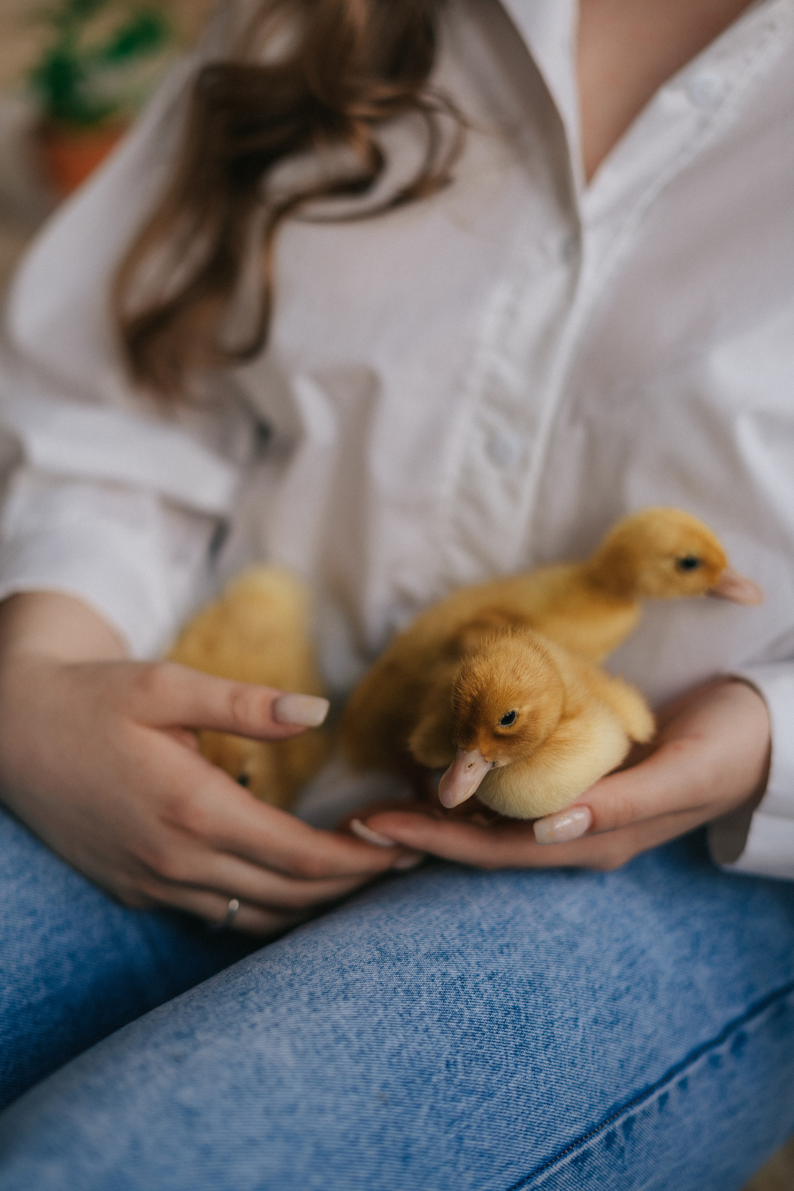 HAPPY EASTER. Свадебный и семейный фотограф в Красноярске Анастасия Турчанова