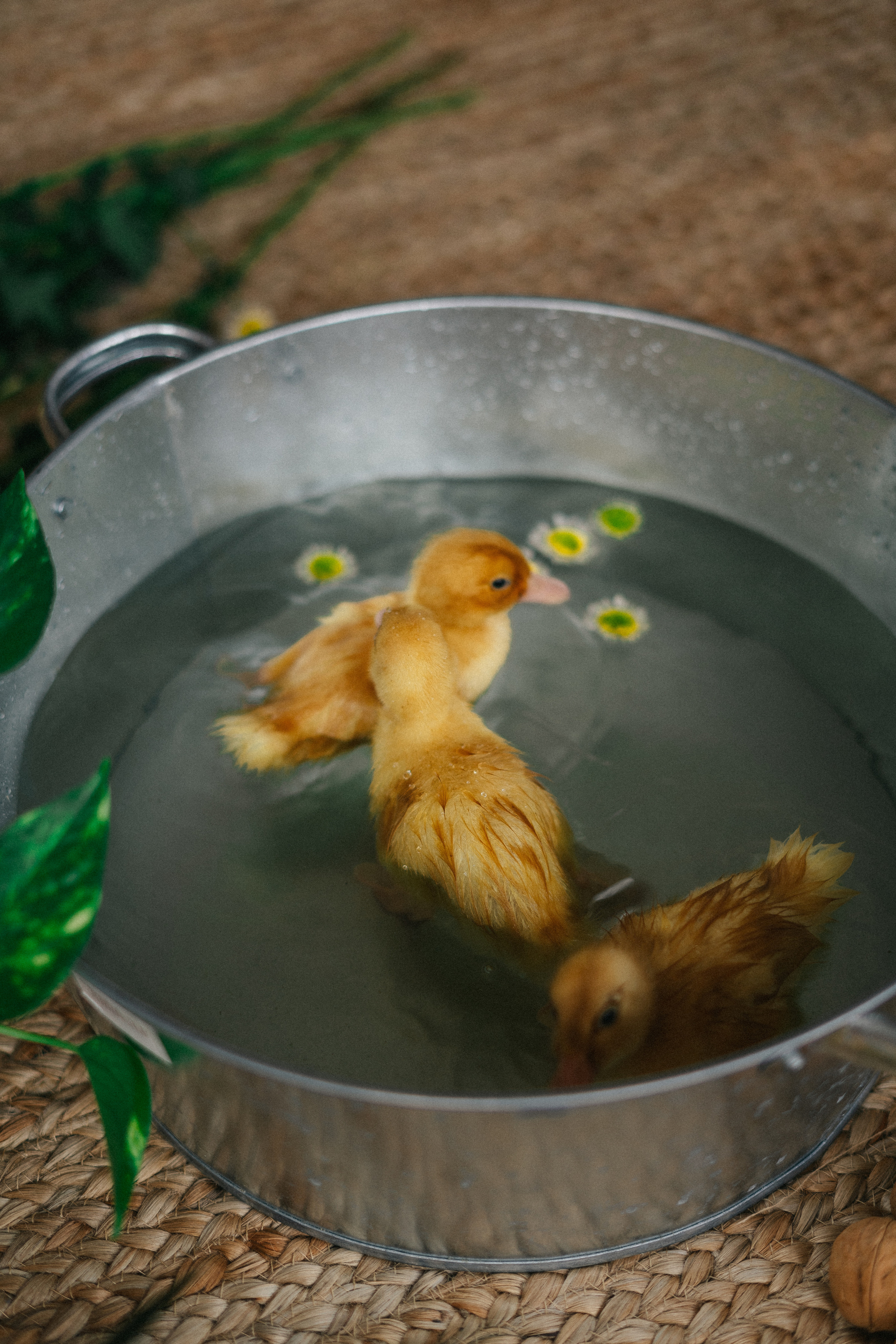 HAPPY EASTER. Свадебный и семейный фотограф в Красноярске Анастасия Турчанова
