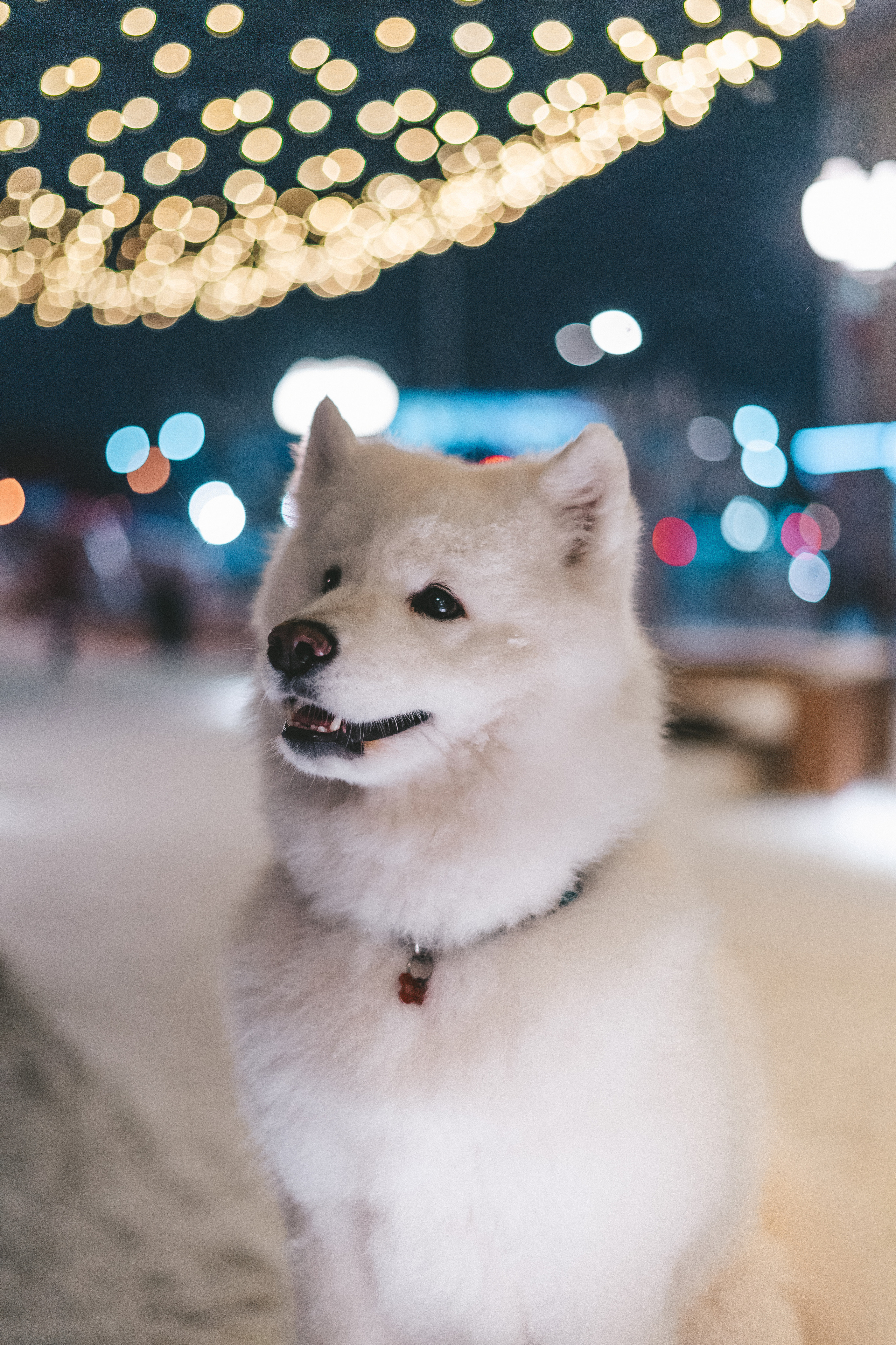 FLUFFY. Свадебный и семейный фотограф в Красноярске Анастасия Турчанова