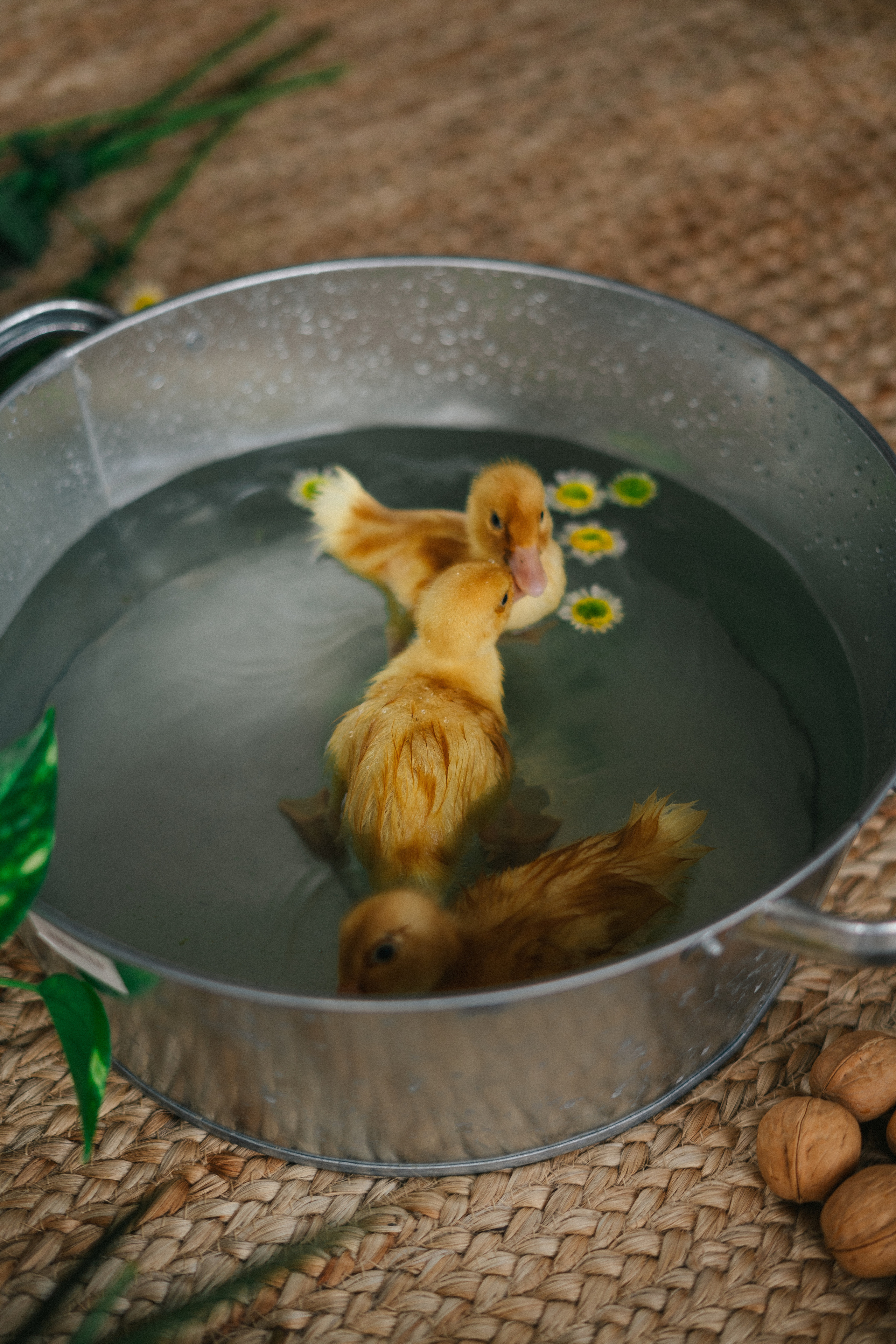 HAPPY EASTER. Свадебный и семейный фотограф в Красноярске Анастасия Турчанова