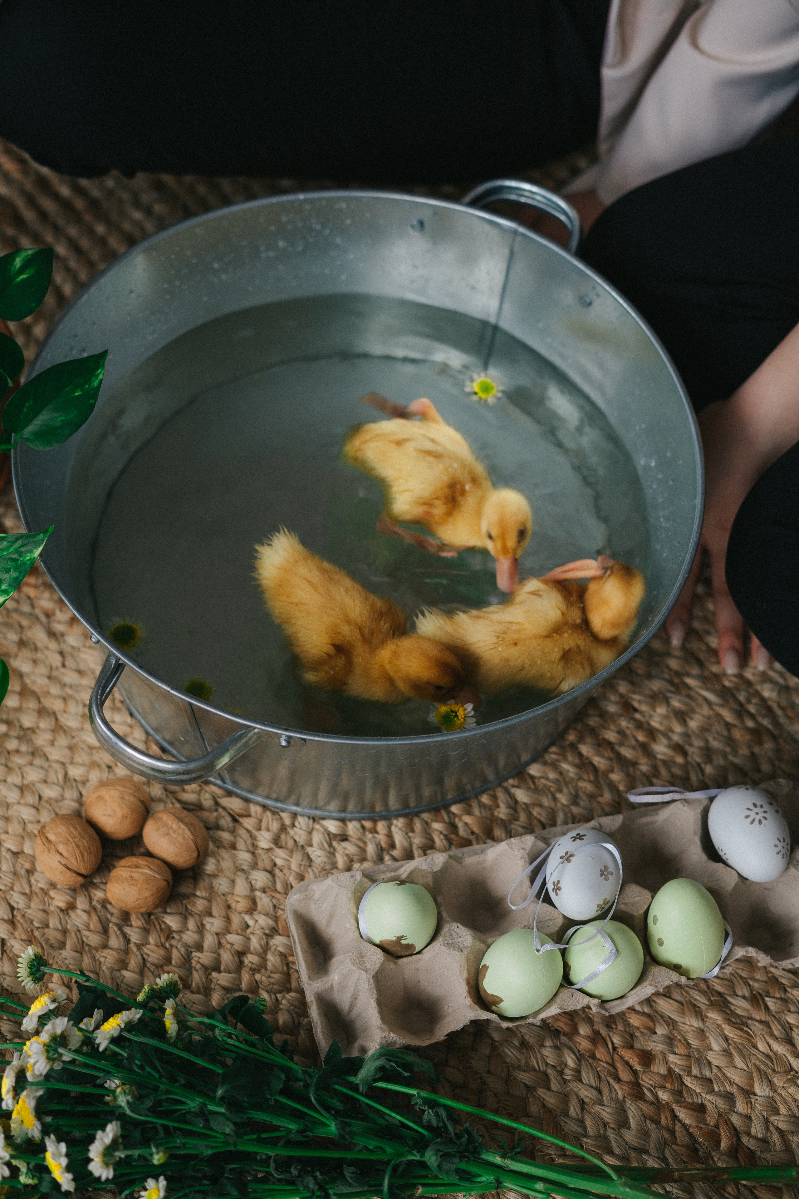 HAPPY EASTER. Свадебный и семейный фотограф в Красноярске Анастасия Турчанова