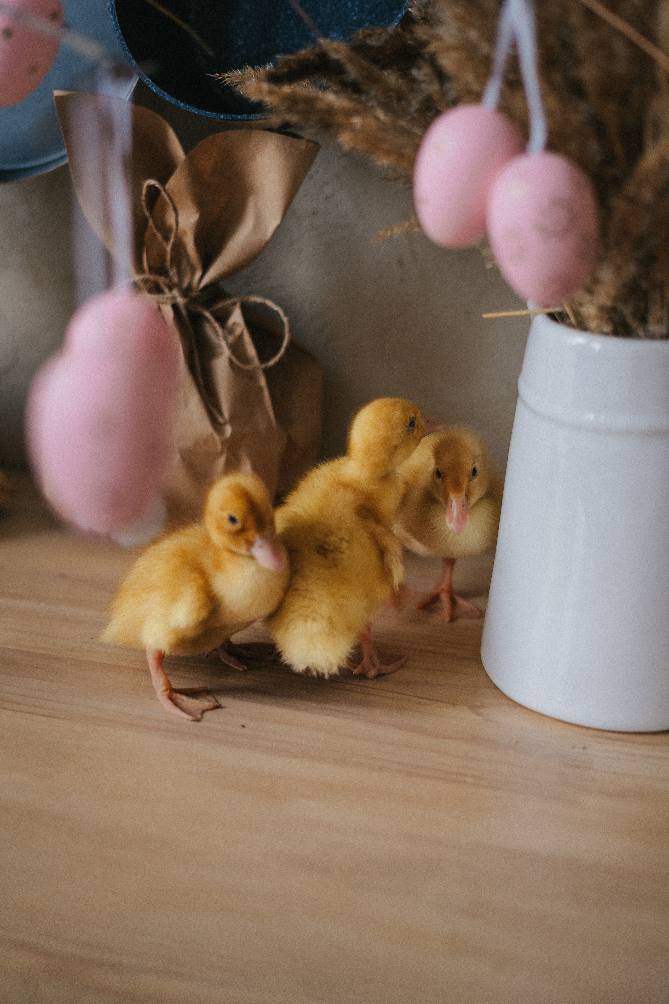 HAPPY EASTER. Свадебный и семейный фотограф в Красноярске Анастасия Турчанова