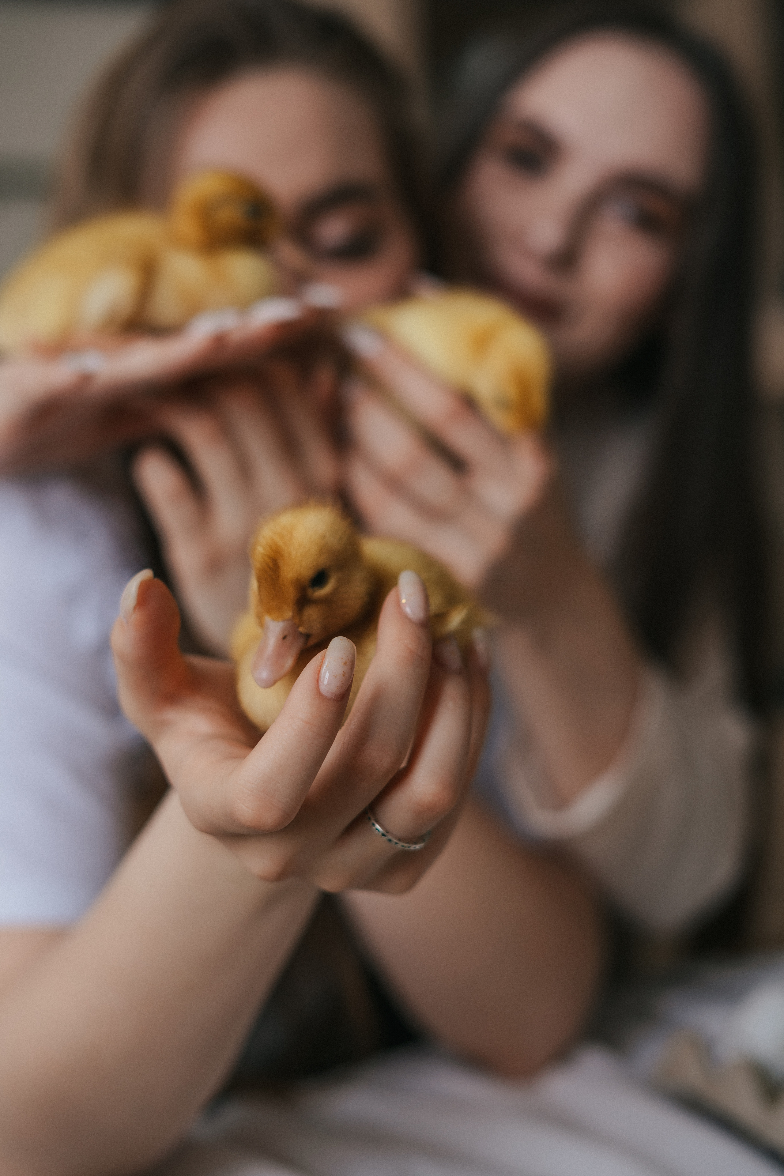 HAPPY EASTER. Свадебный и семейный фотограф в Красноярске Анастасия Турчанова