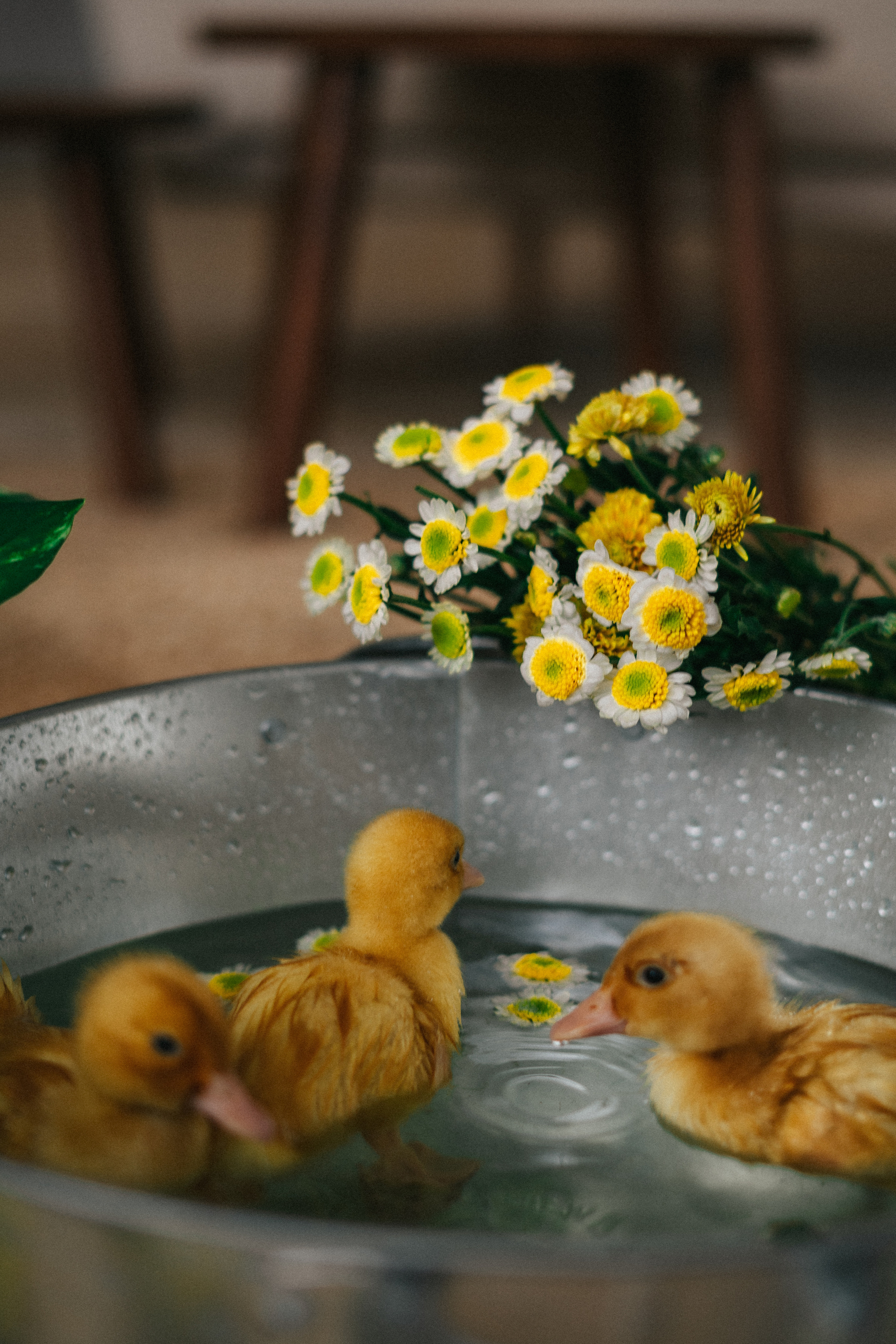 HAPPY EASTER. Свадебный и семейный фотограф в Красноярске Анастасия Турчанова