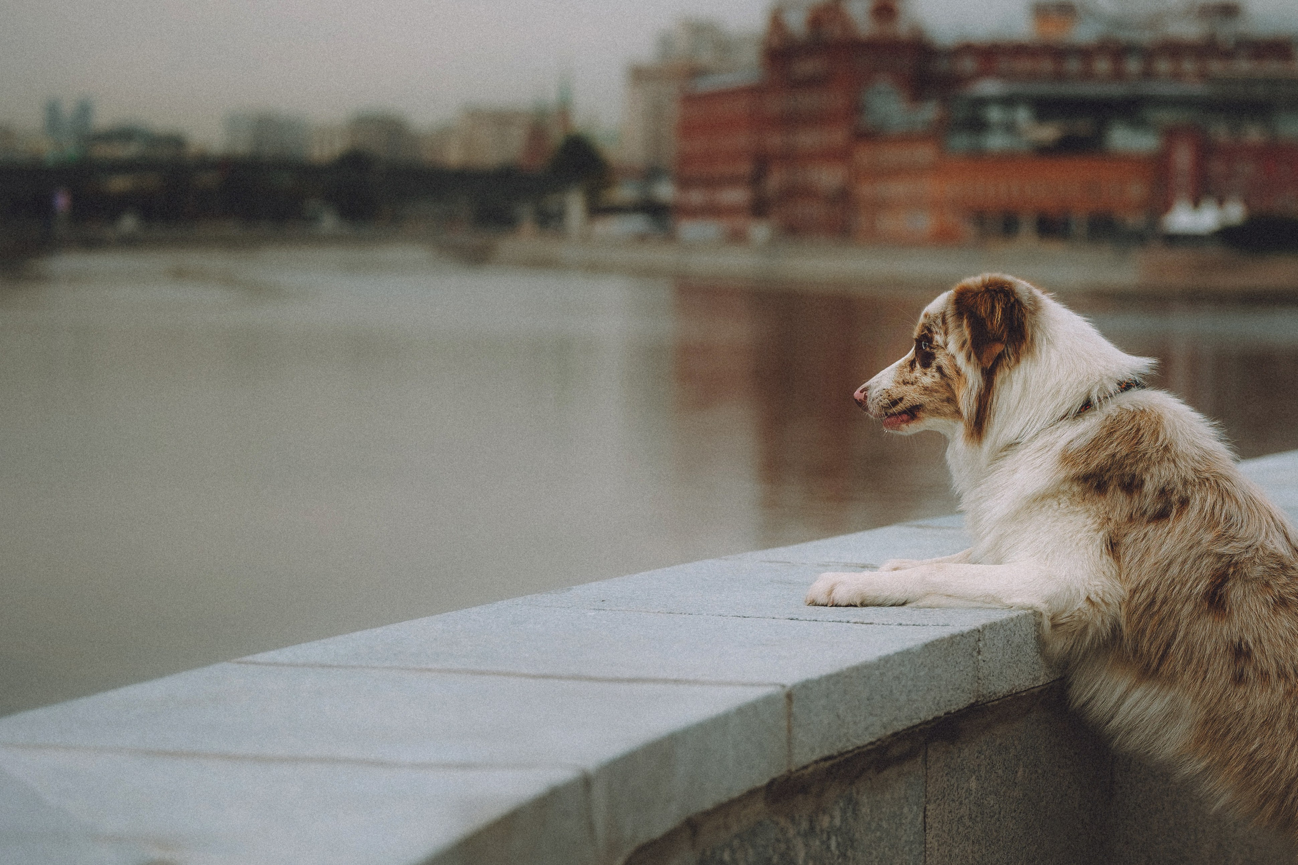 Один и его семья