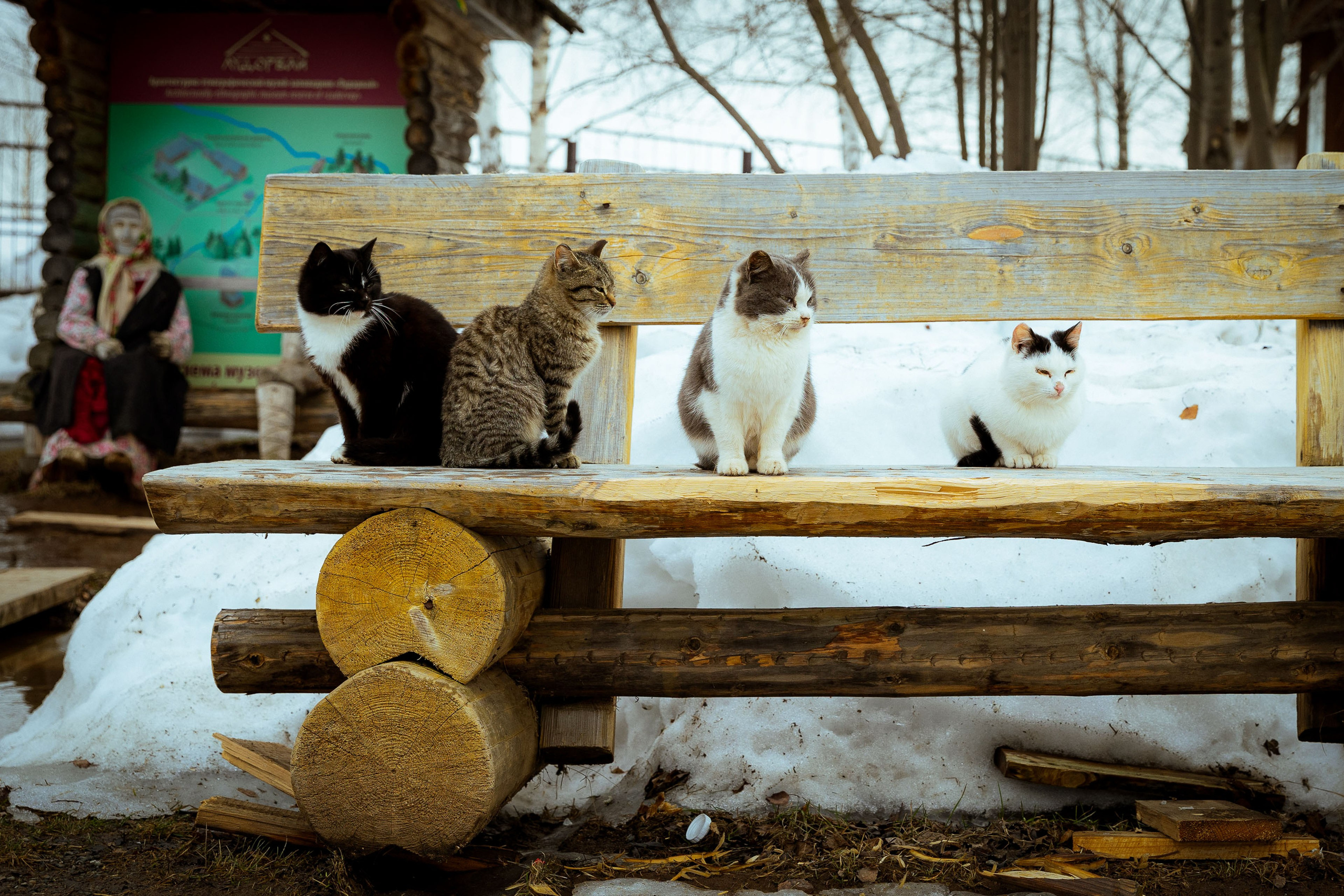 Тур для блогеров «Влюбиться в Удмуртию» [3-4 апреля 2024 г.]. Фотограф Виноградов Константин
