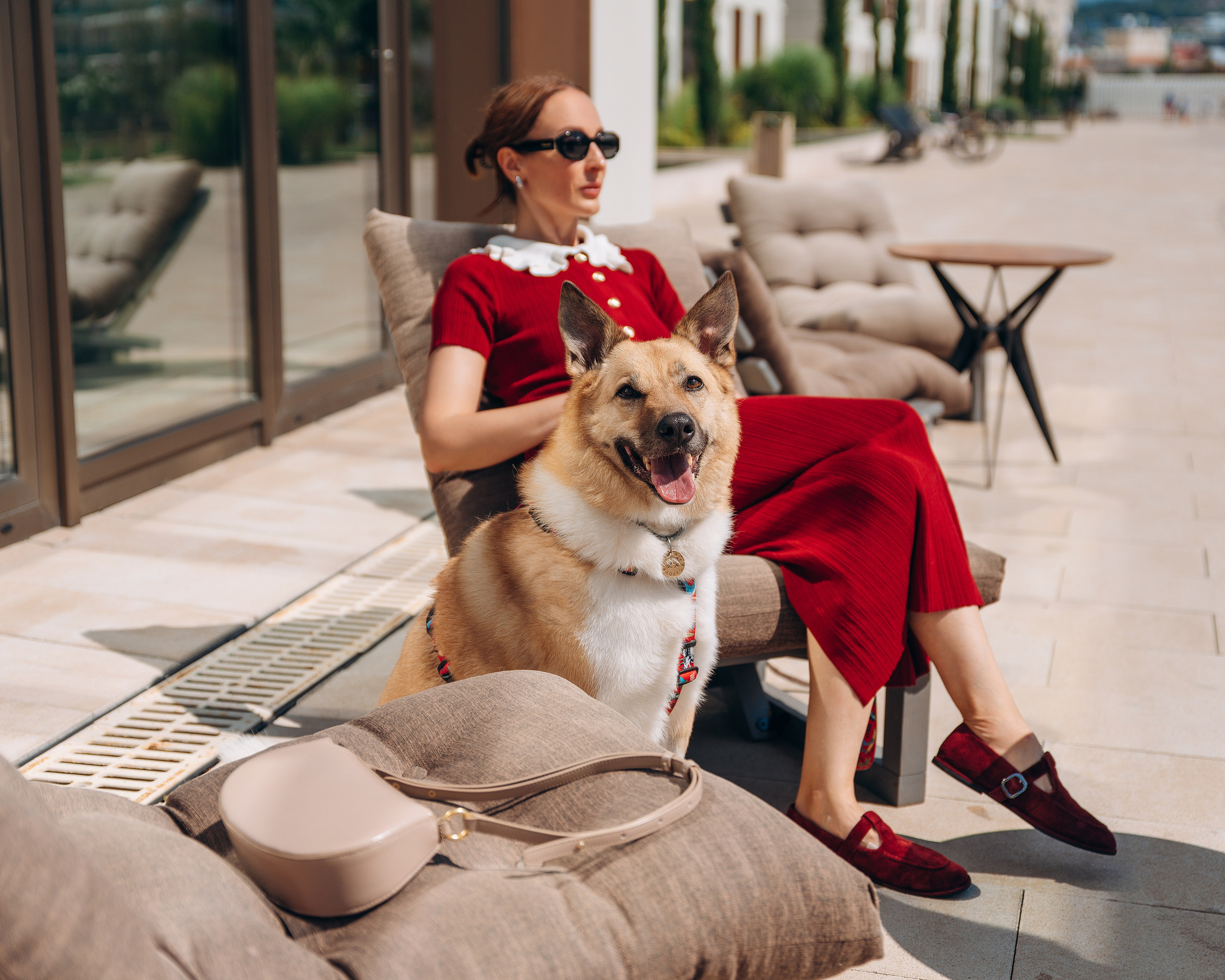 Животные. Фотограф Сочи-Краснодар