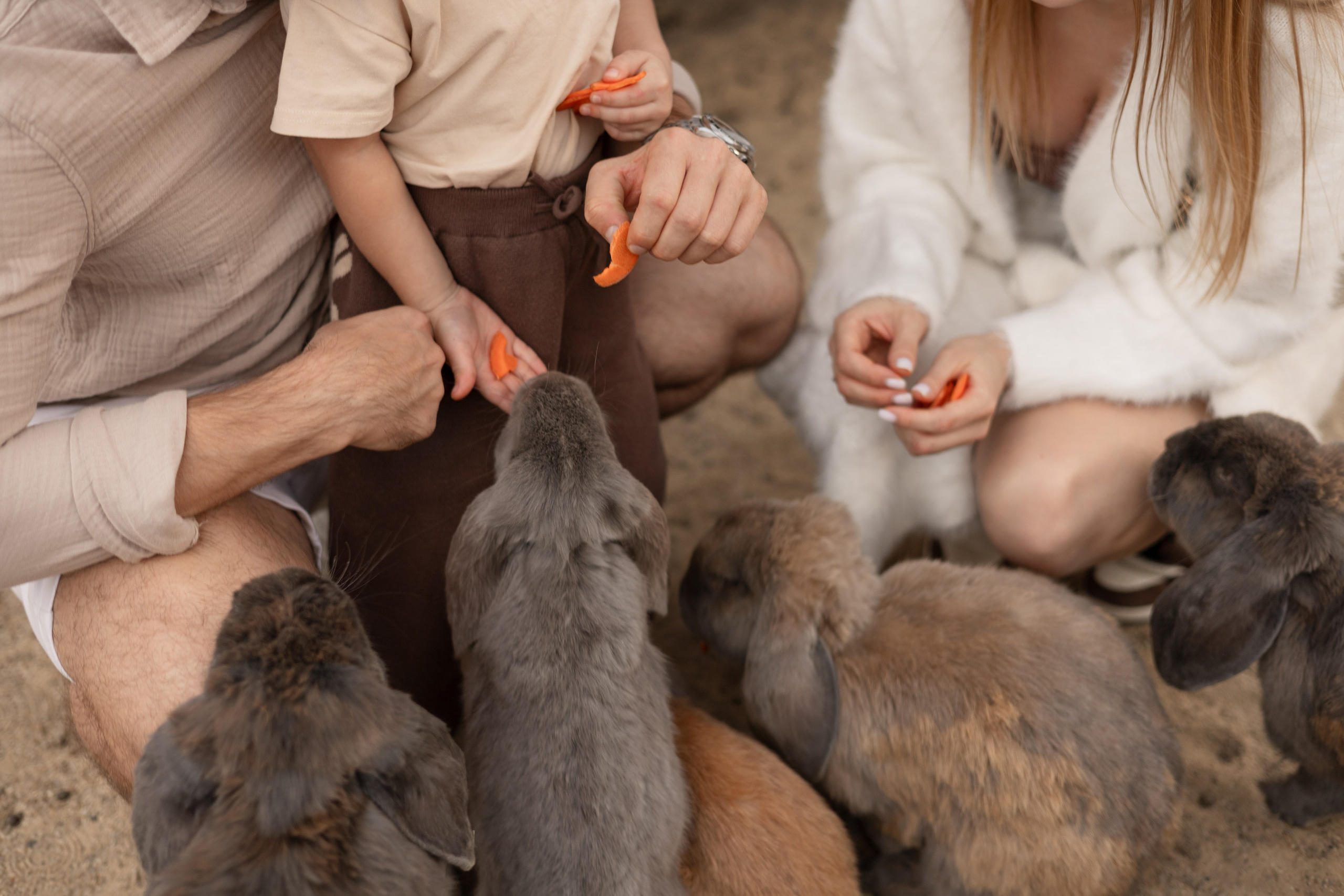 Семейная фотография. Фотограф в Воронеже Елена Бухонова