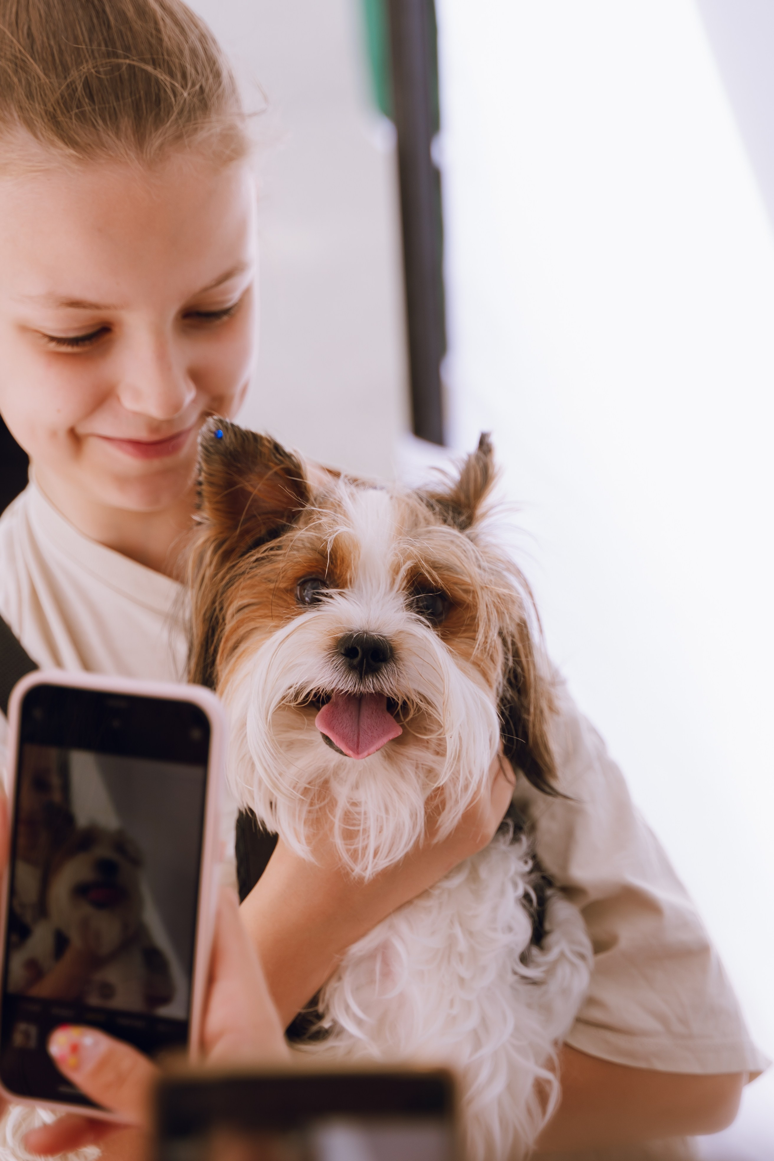 Площадка фестиваля «Мампус и его друзья» в Лесопарке 2025. Фотограф Надежда Погребняк | Рязань | Москва