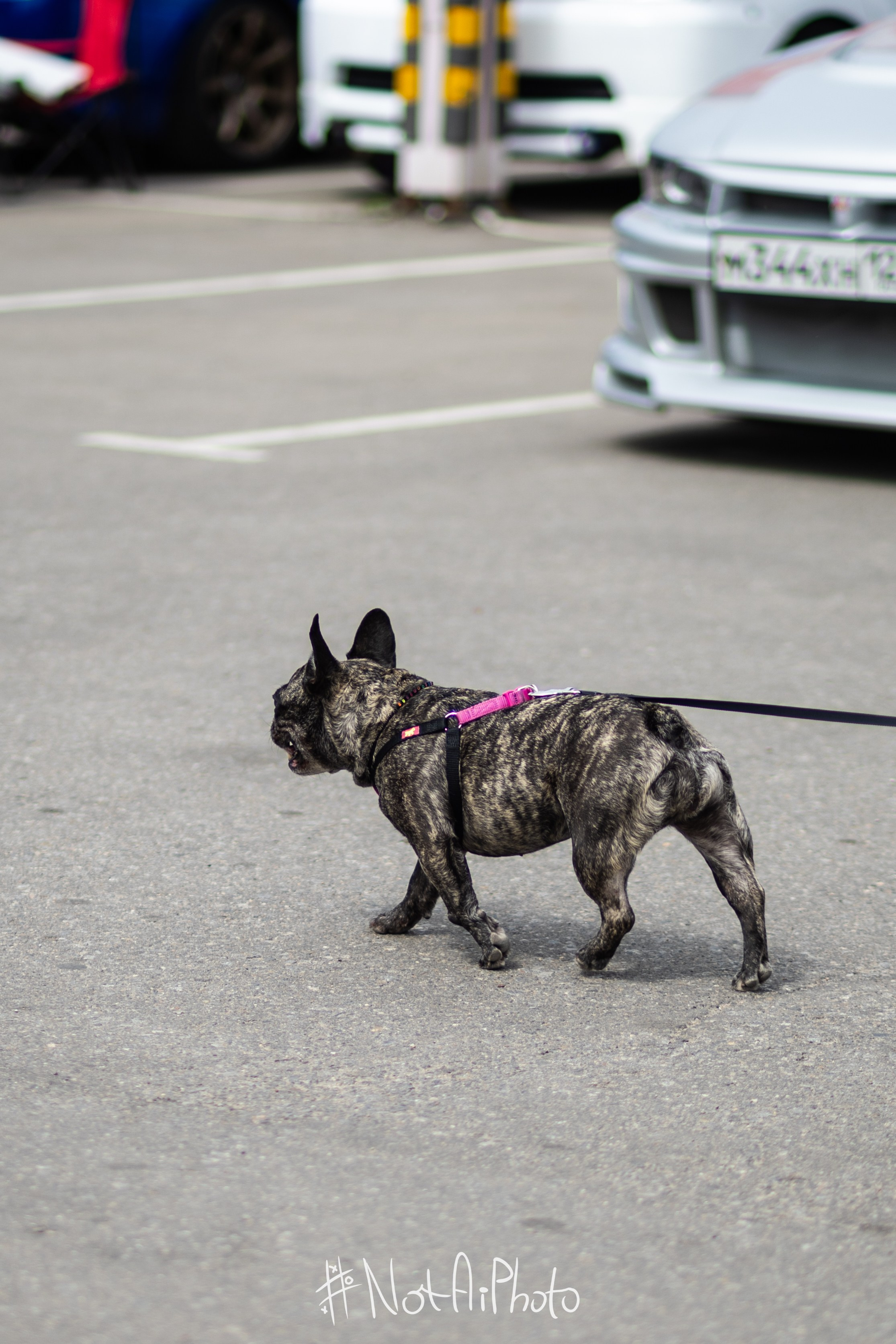 Репортажная съемка Time2Fest. #NotAiPhoto — автомобильный фотограф